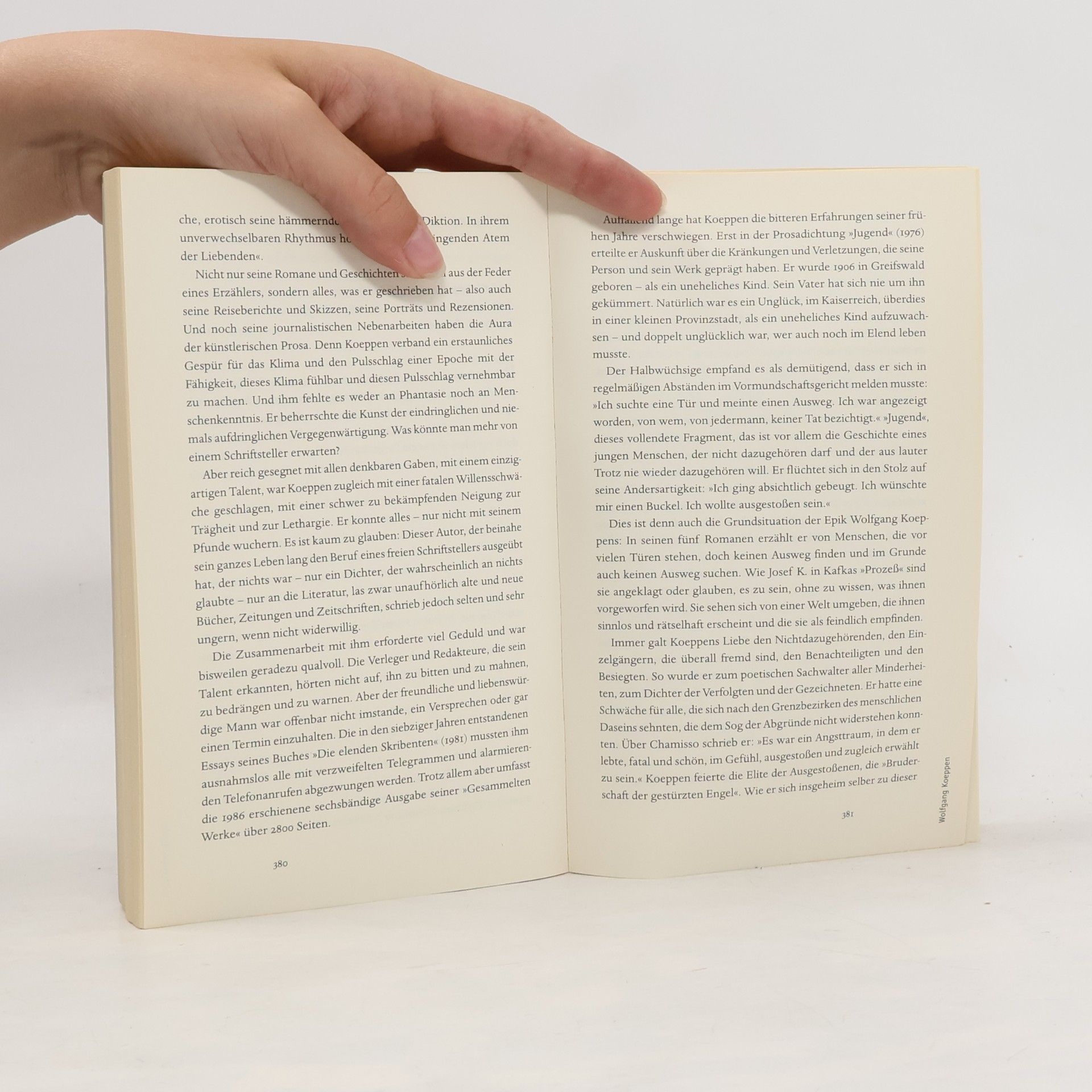 Marcel Reich Ranicki Meine Geschichte der deutschen Literatur