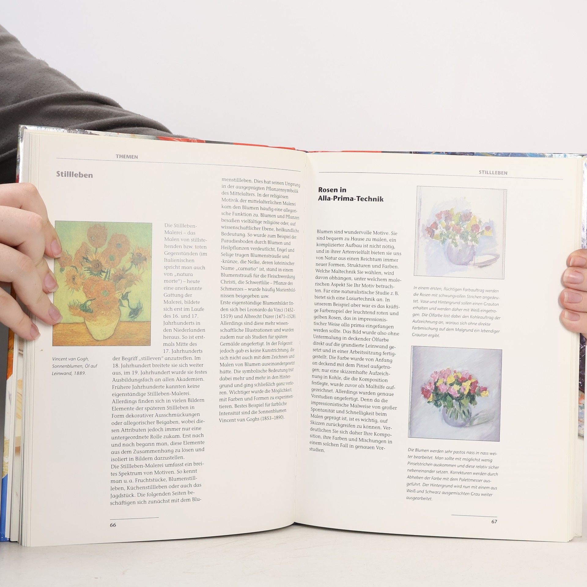 Dieter Jonas Ravensburger Handbuch Ölmalerei: mit neuer Rechtschreibung