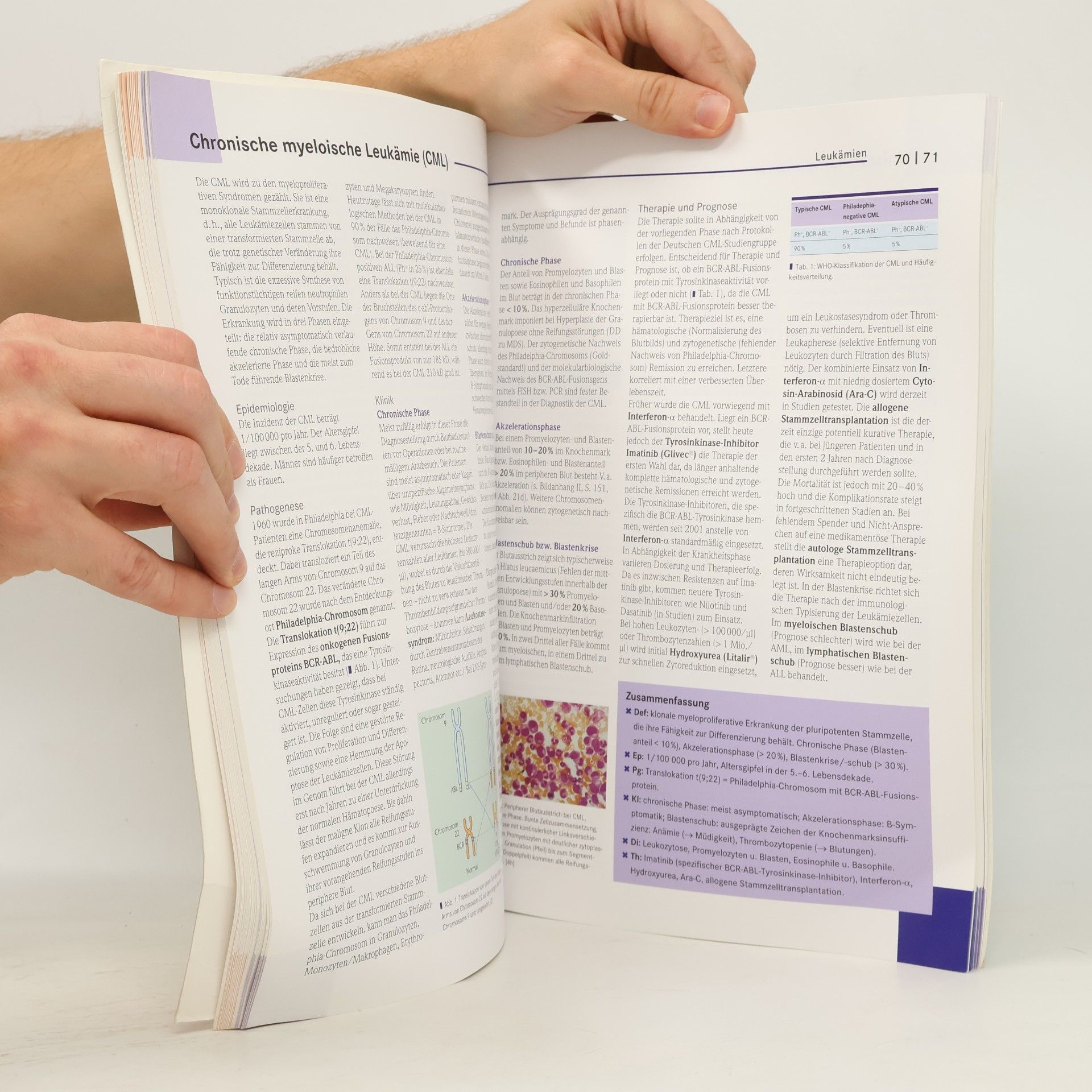 Marlies Michl Basics Hämatologie