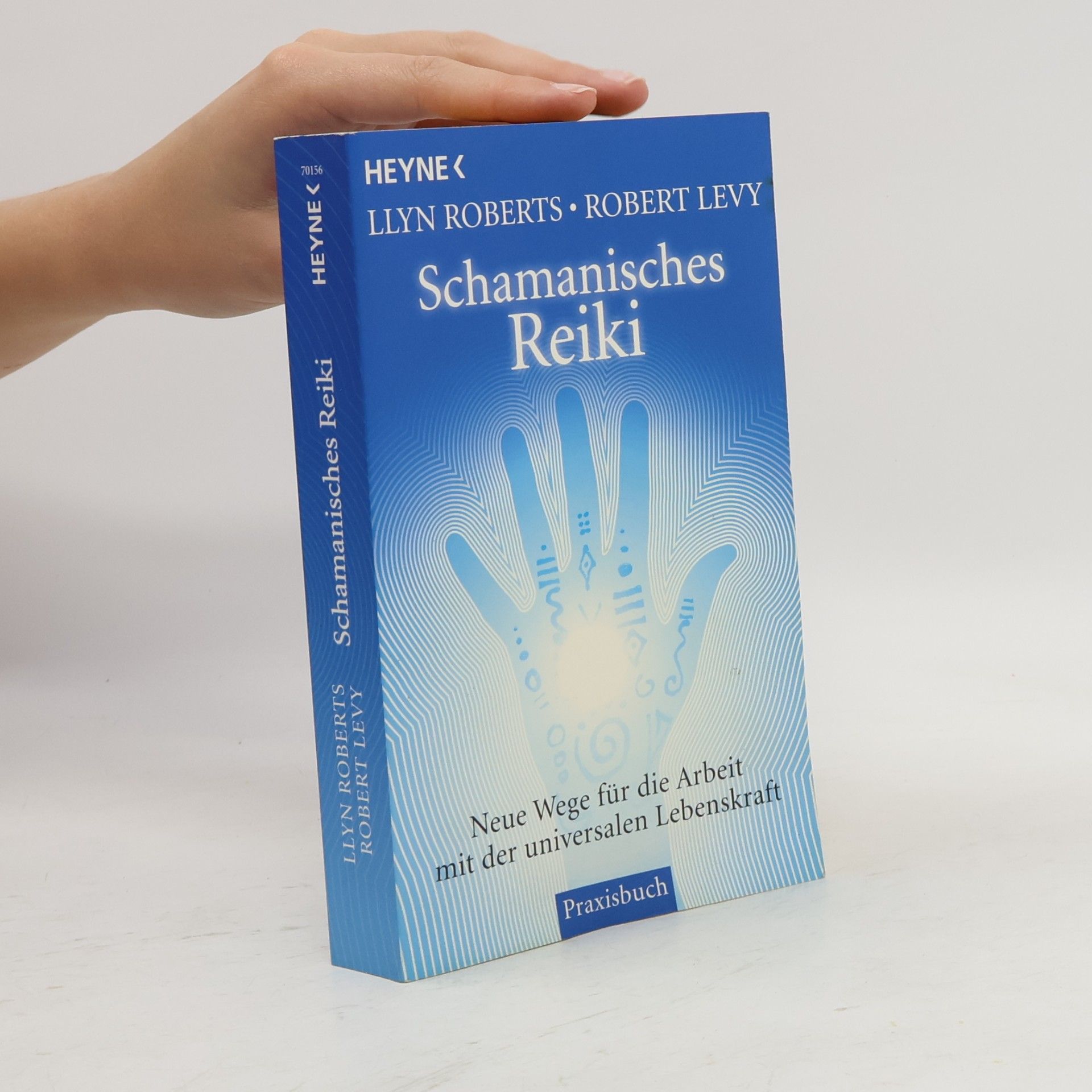 Robert Levy Schamanisches Reiki