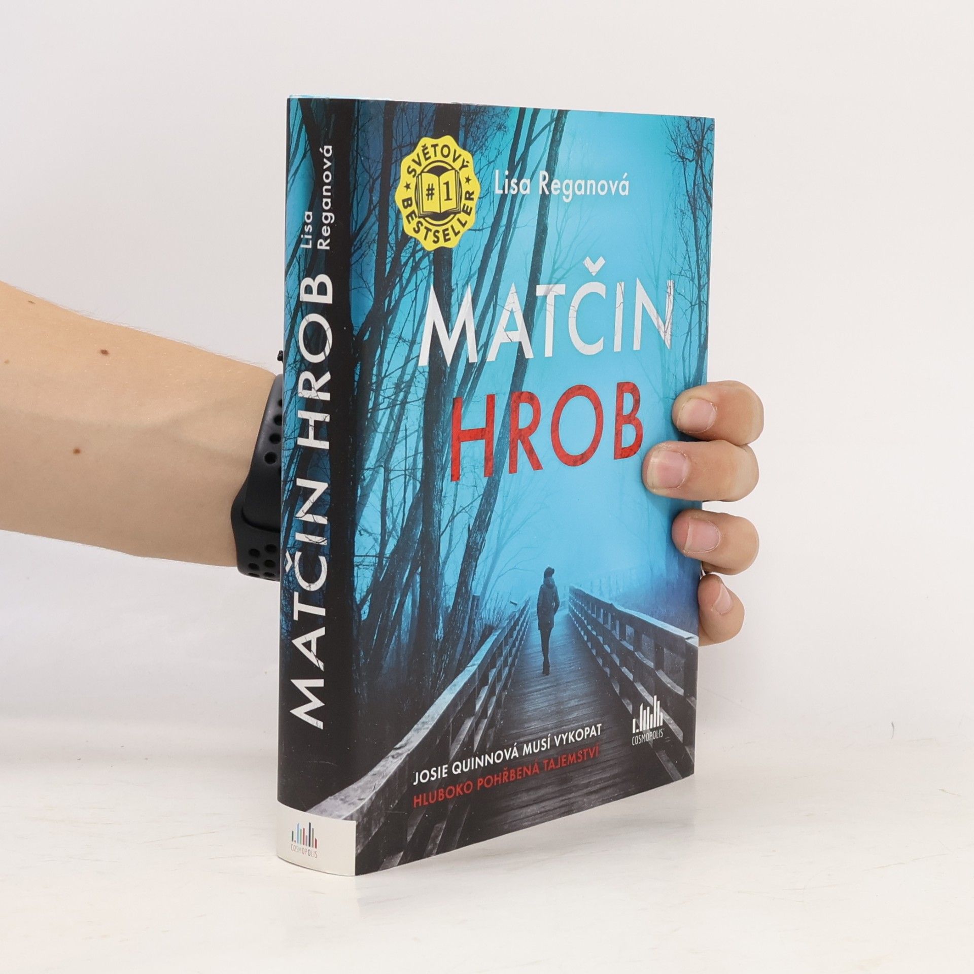 Lisa Regan Matčin hrob