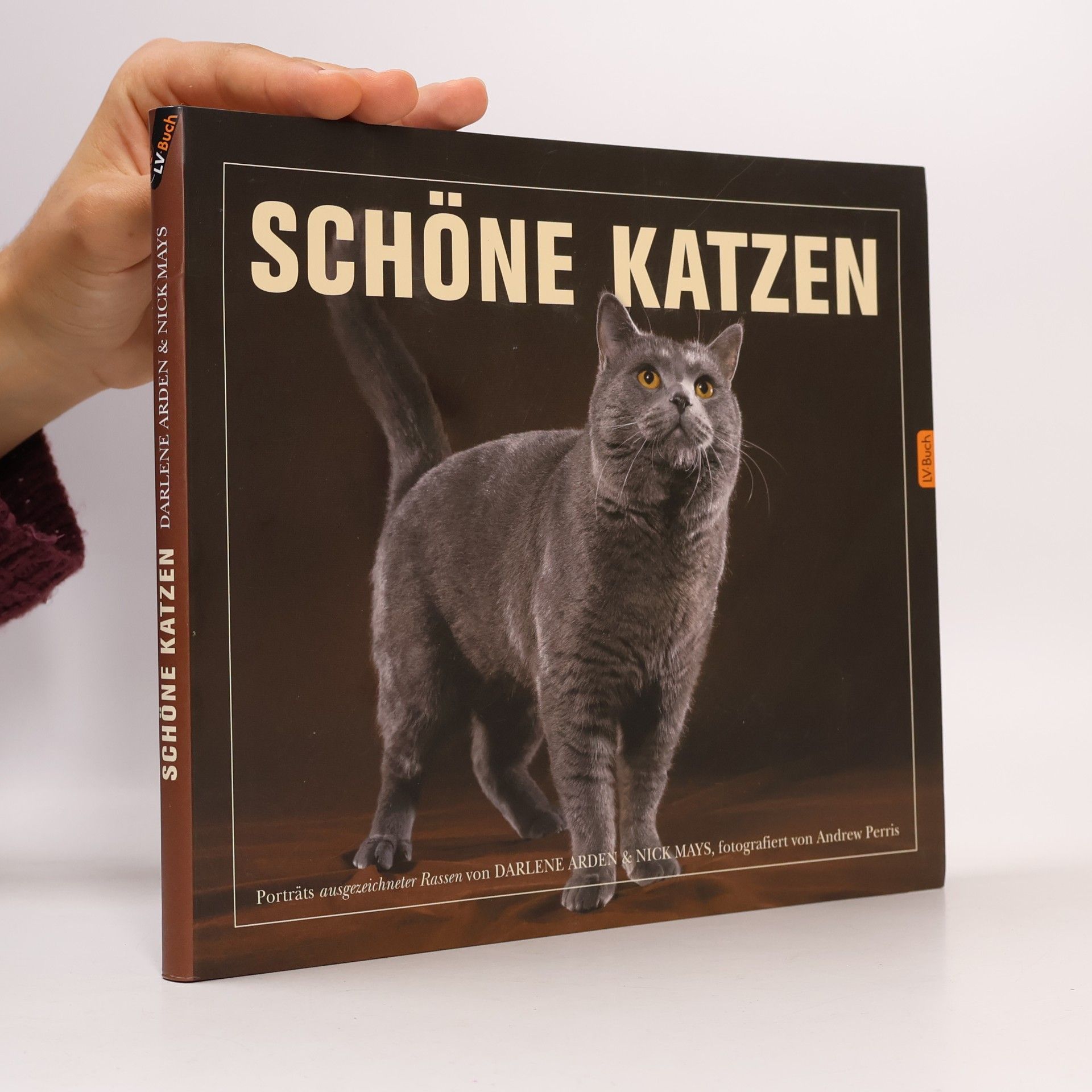 Darlene Arden Schöne Katzen