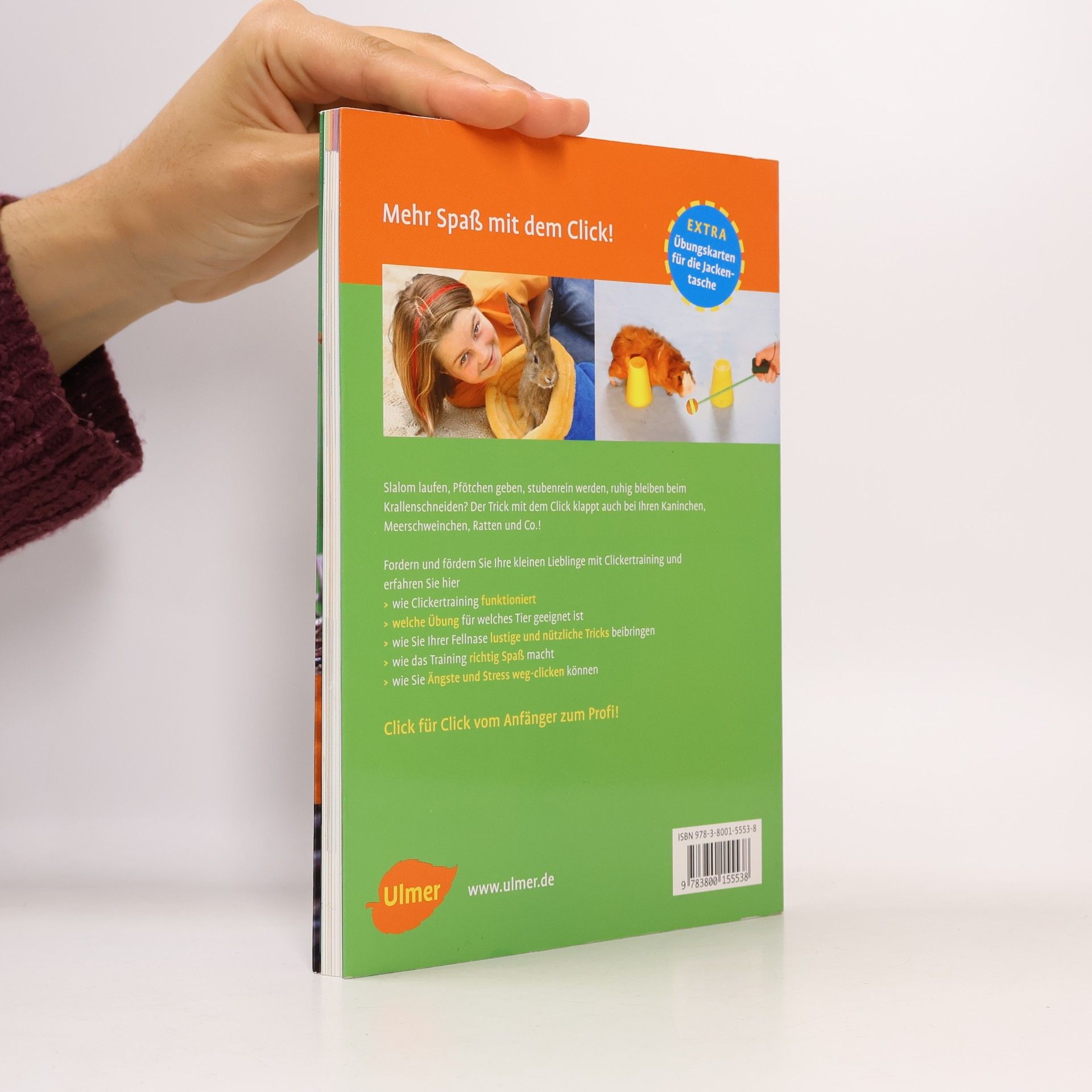 Isabel Müller Clickertraining für Kaninchen, Meerschweinchen & Co.
