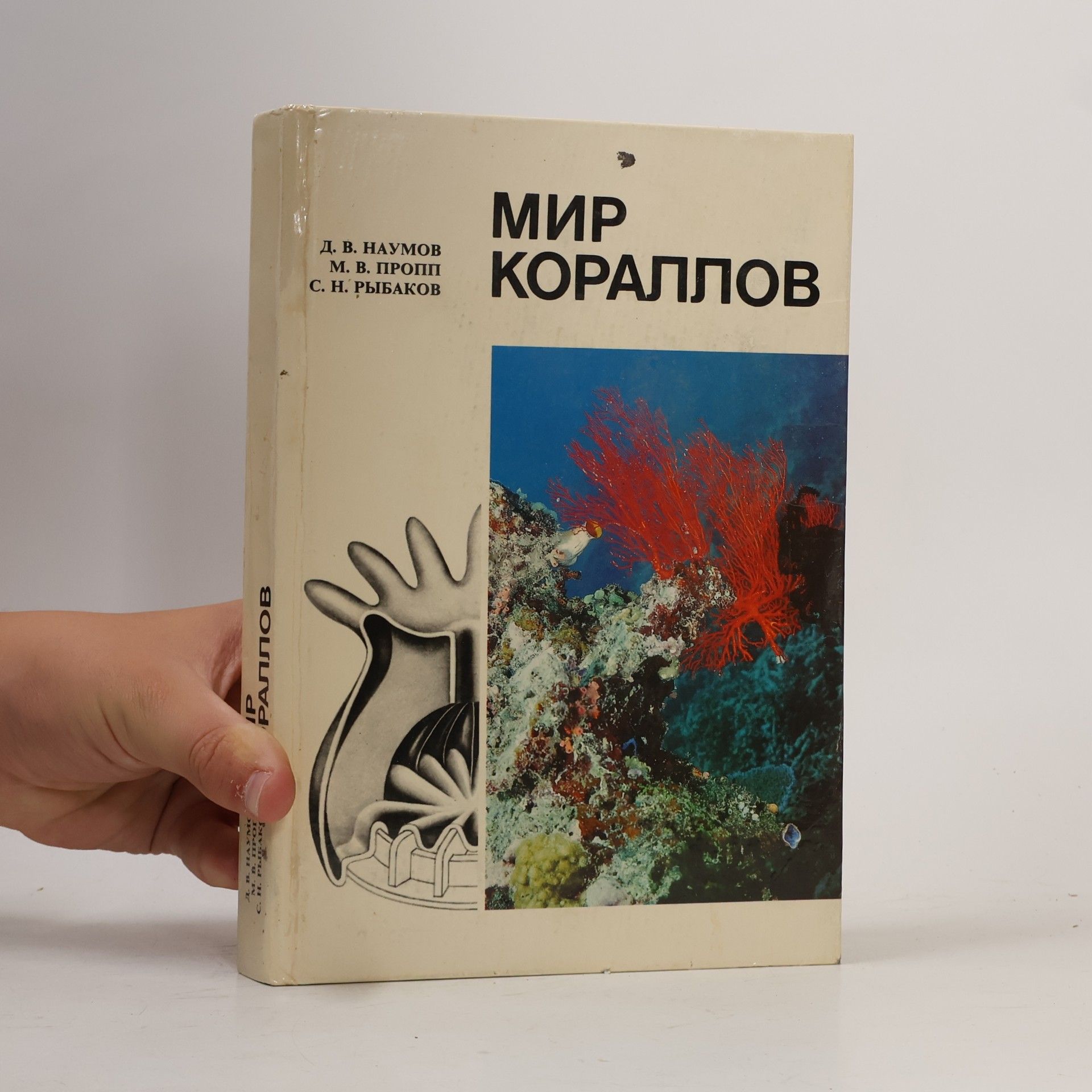 D. V. Naumov Мир кораллов