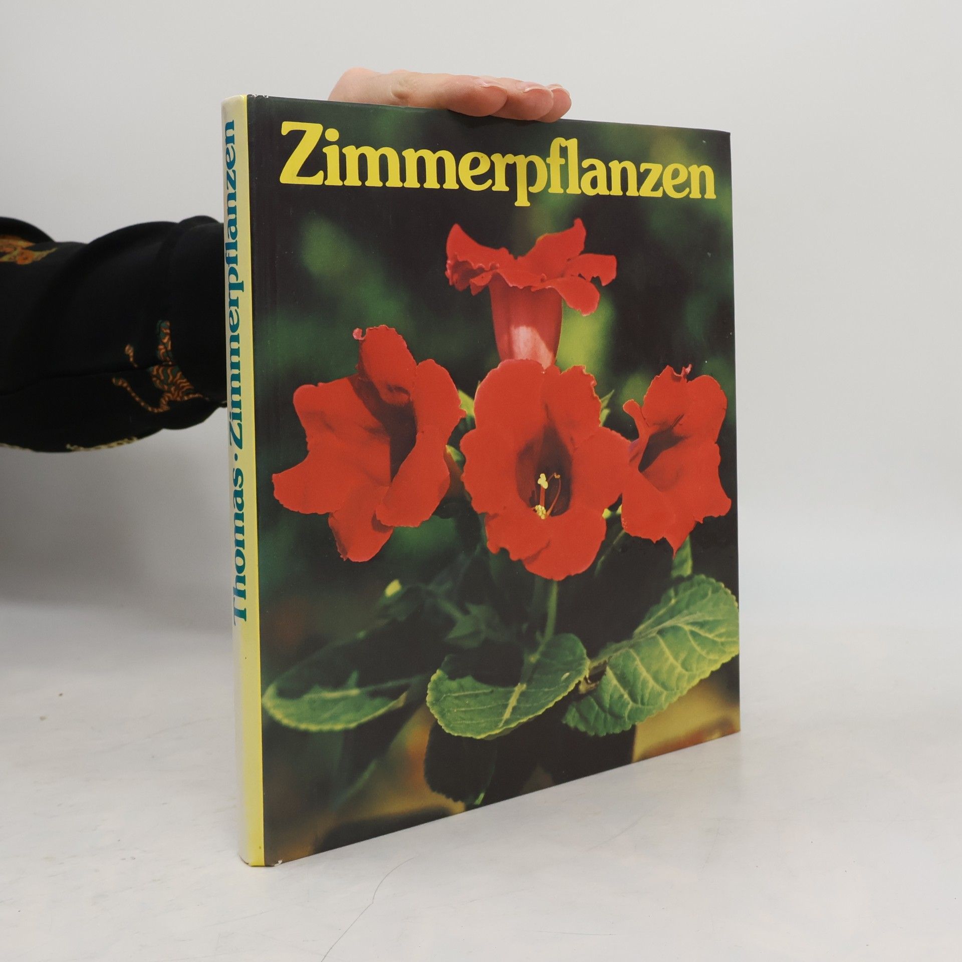 Editha Thomas Zimmerpflanzen