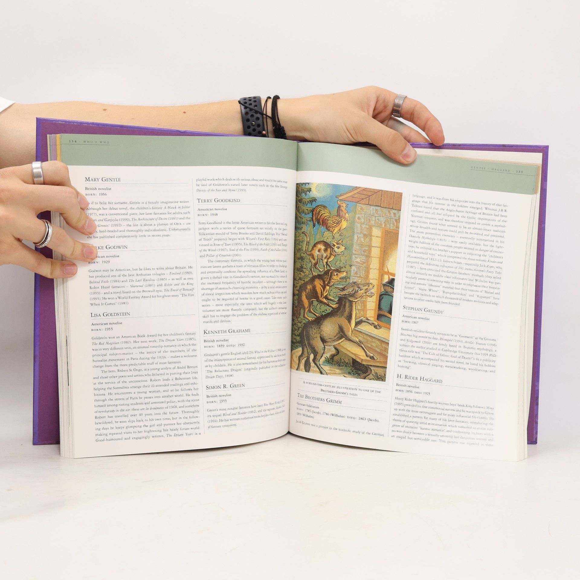 David Pringle The Definitive Illustrated Guide To Fantasy