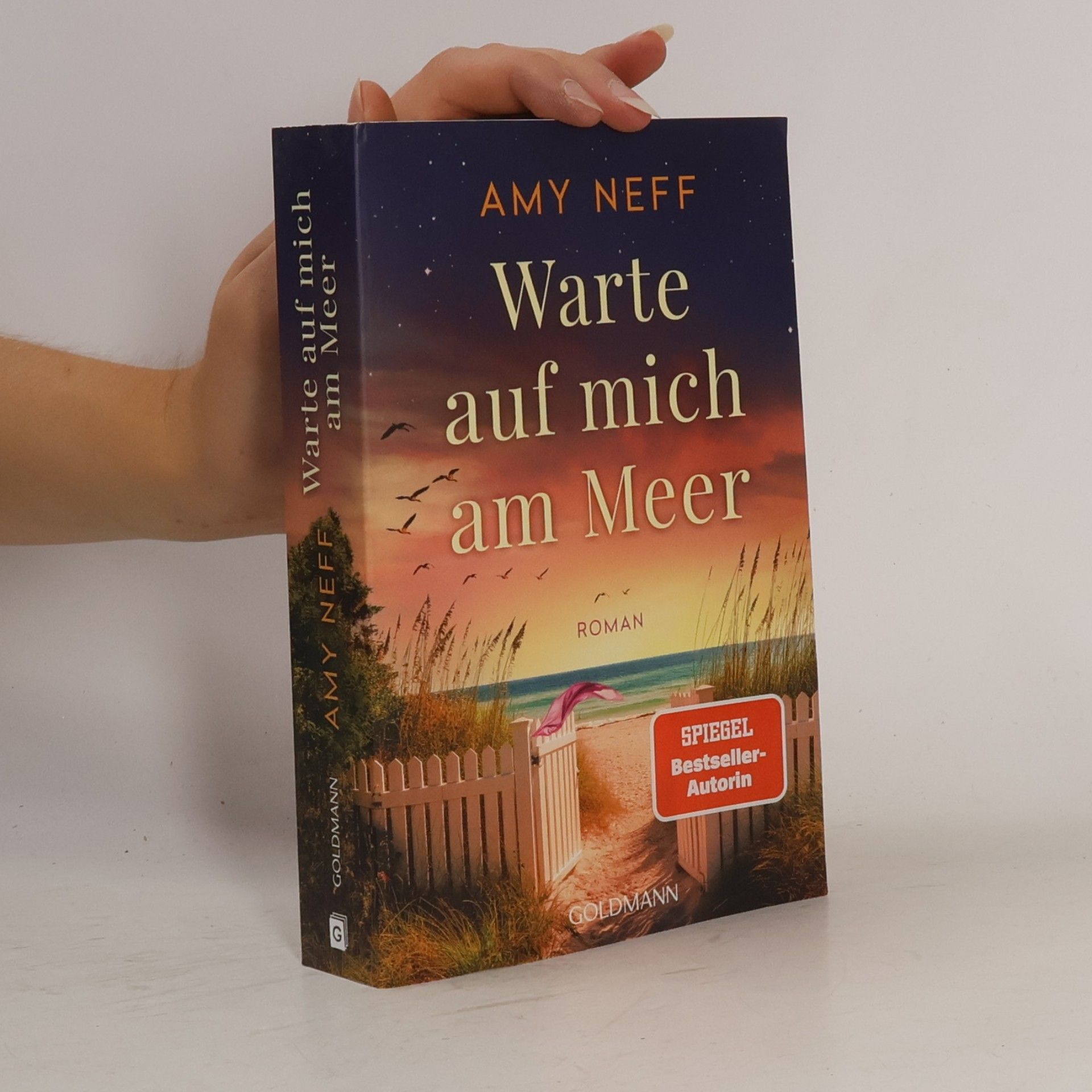 Amy Neff Warte auf mich am Meer