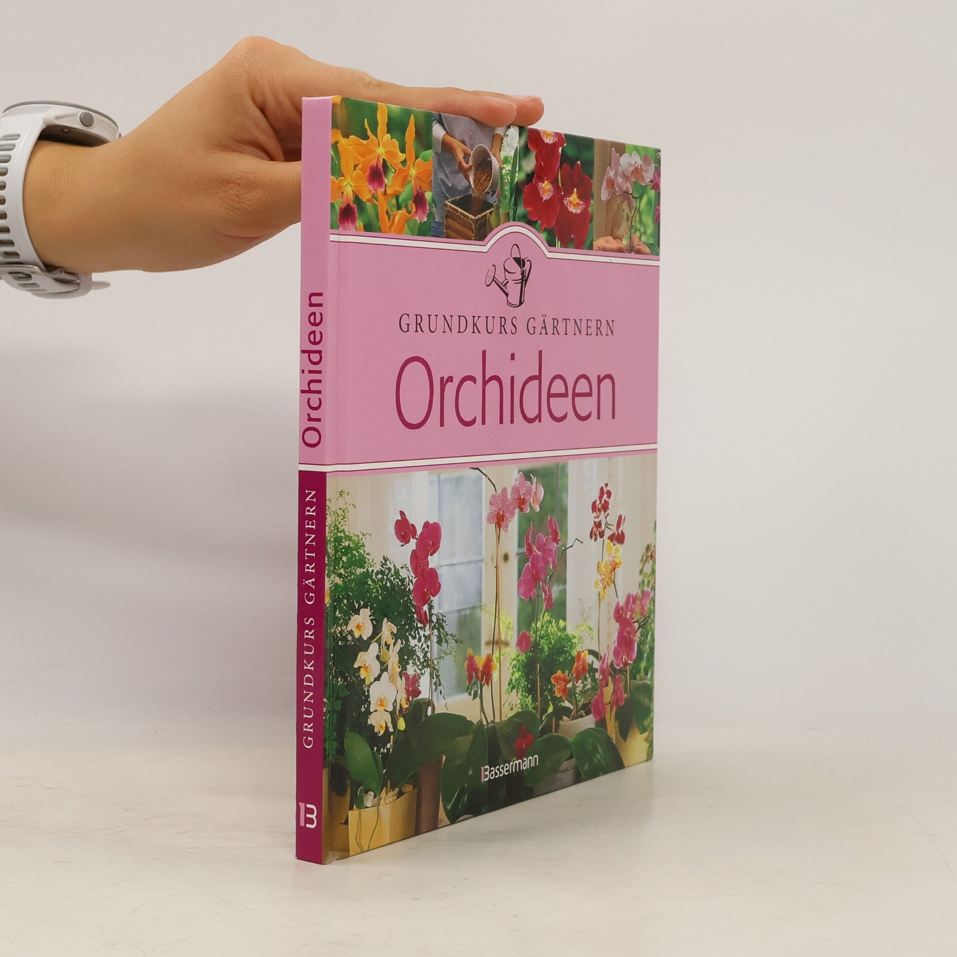 Bénédicte Boudassou Orchideen