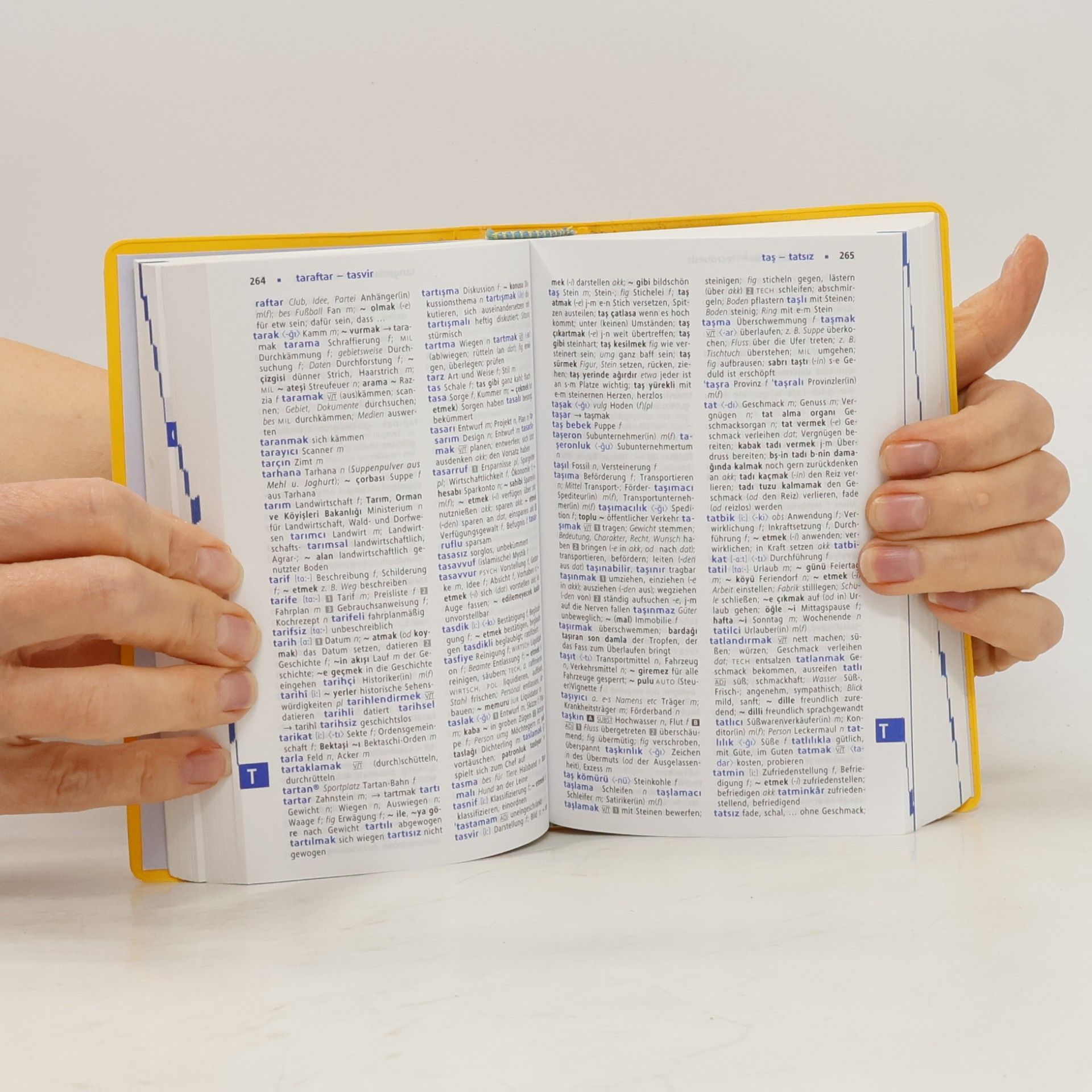 Evelyn Glose Langenscheidt, Praktisches Wörterbuch Türkisch