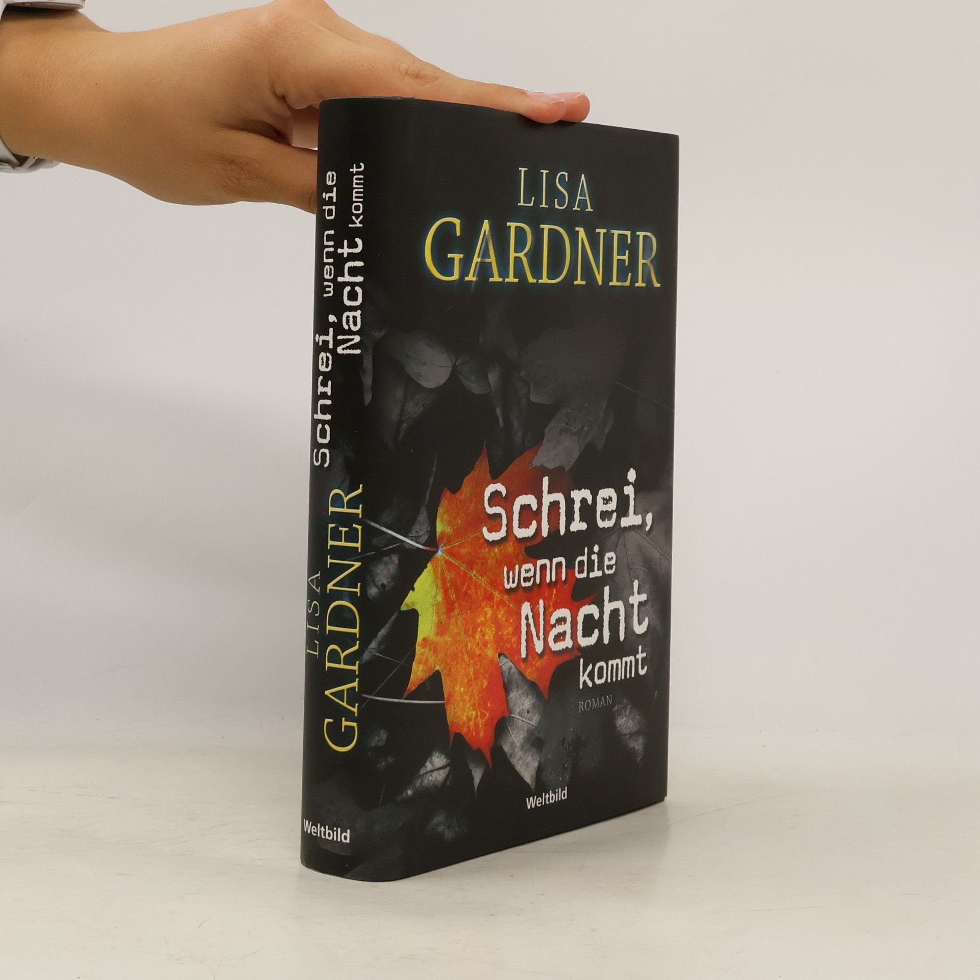 Lisa Gardner Schrei, wenn die Nacht kommt