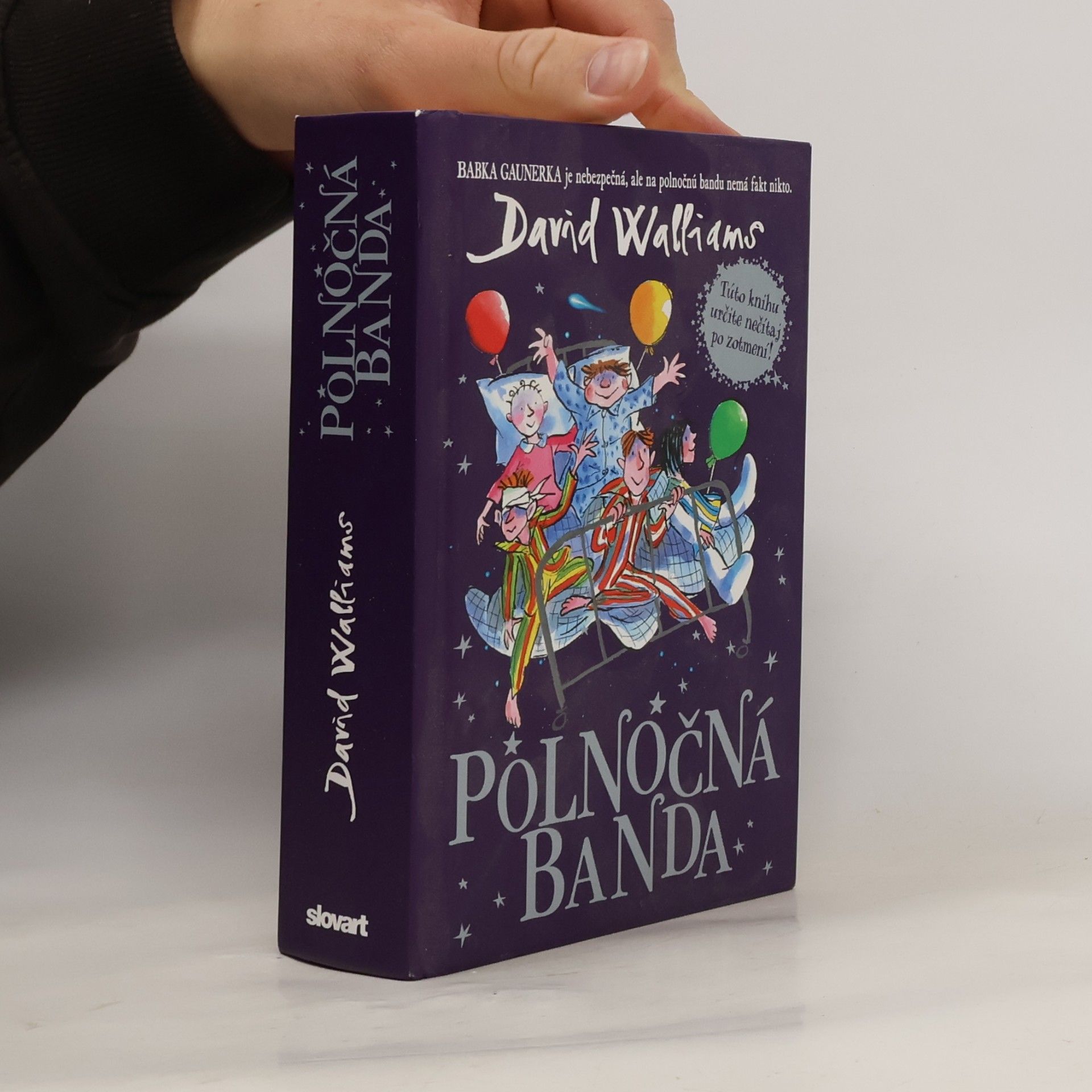David Walliams Polnočná banda