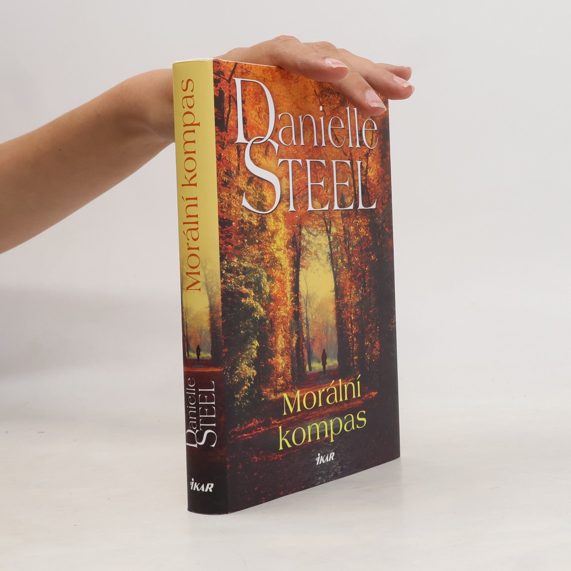 Danielle Steel Morální kompas