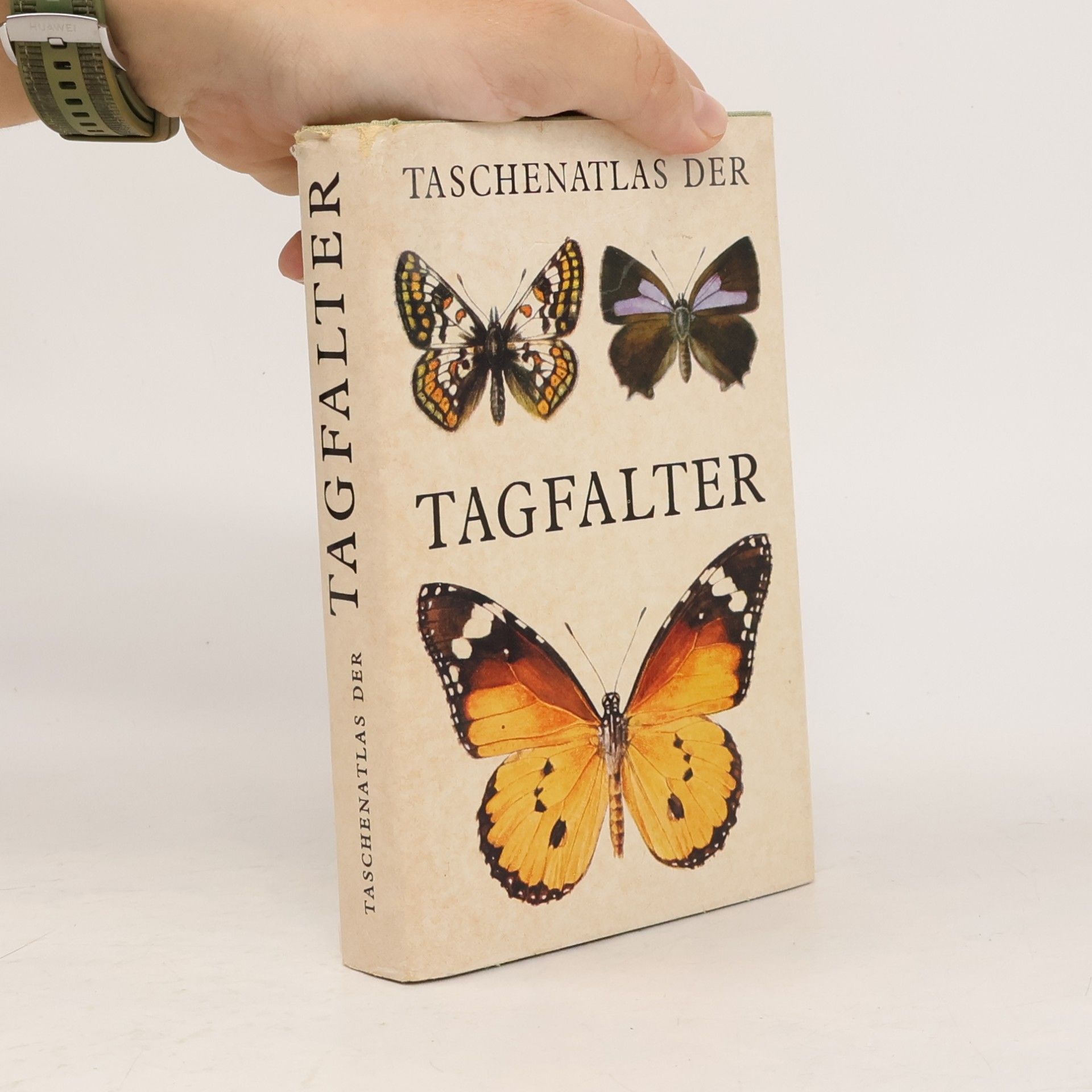 Taschenatlas der Tagfalter