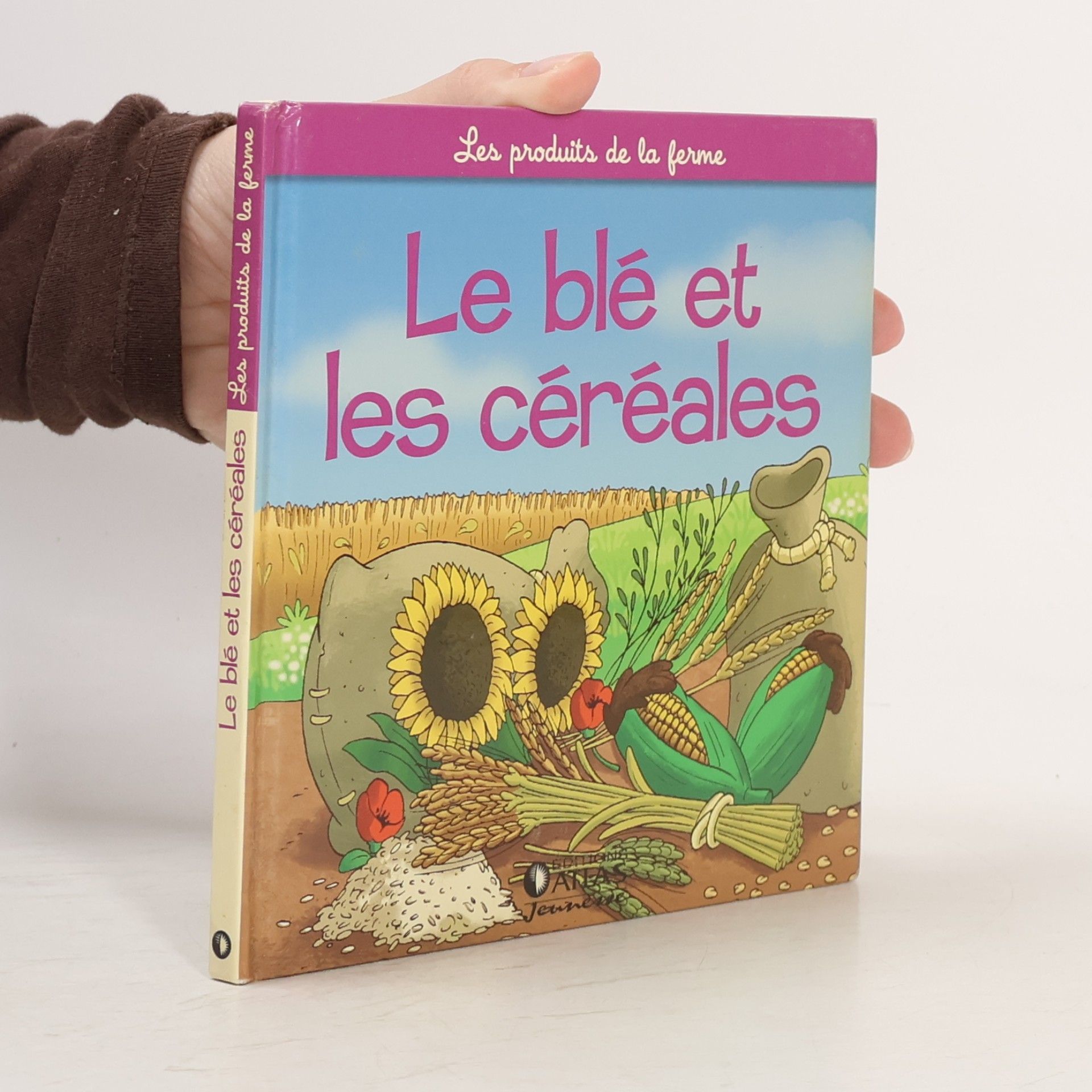 Le blé et les céréales