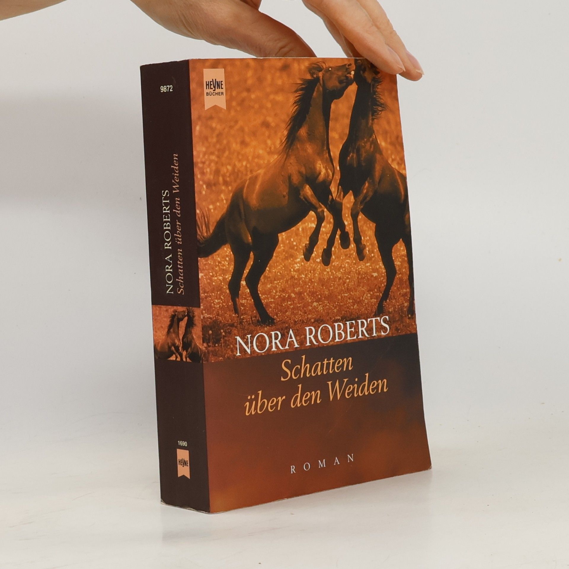 Nora Roberts Schatten über den Weiden