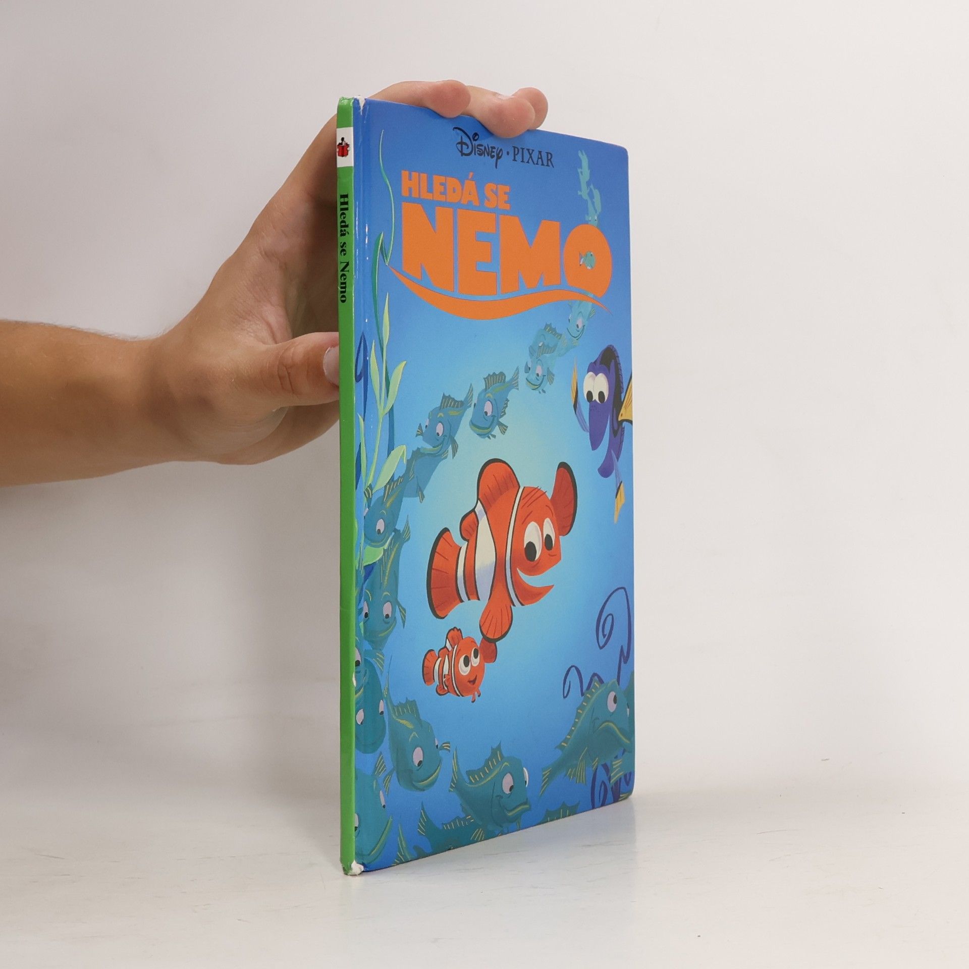 Hledá se Nemo