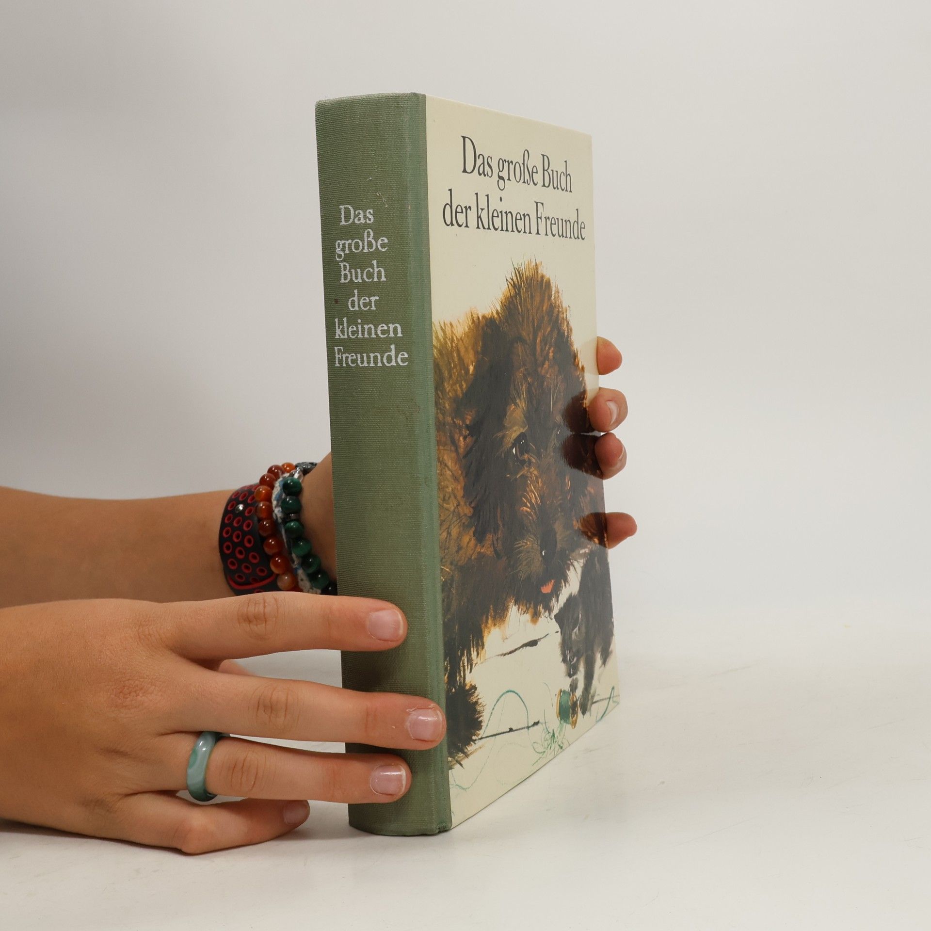 Autorenkollektiv Das grosse Buch der kleinen Freunde