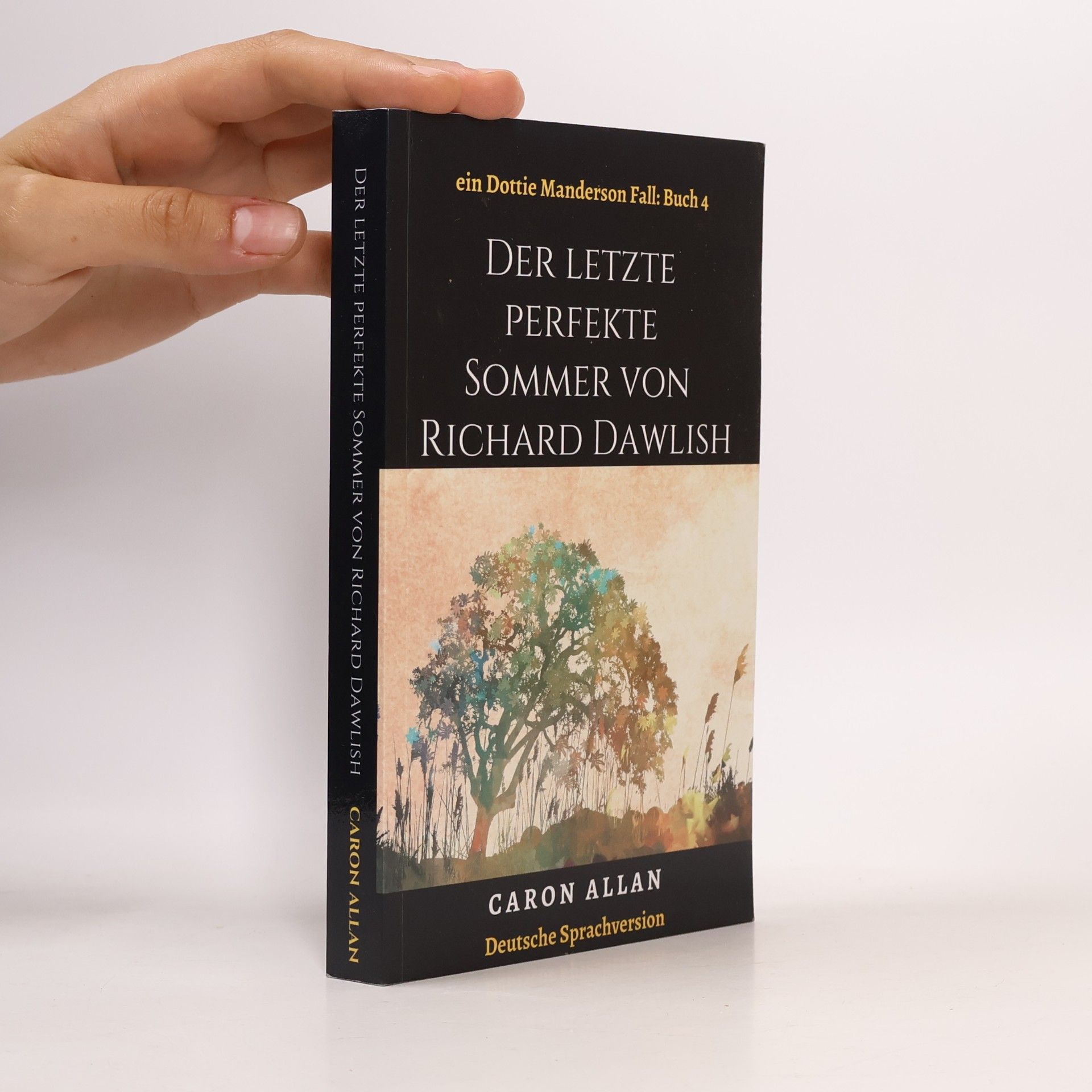 Caron Allan Der letzte perfekte Sommer von Richard Dawlish