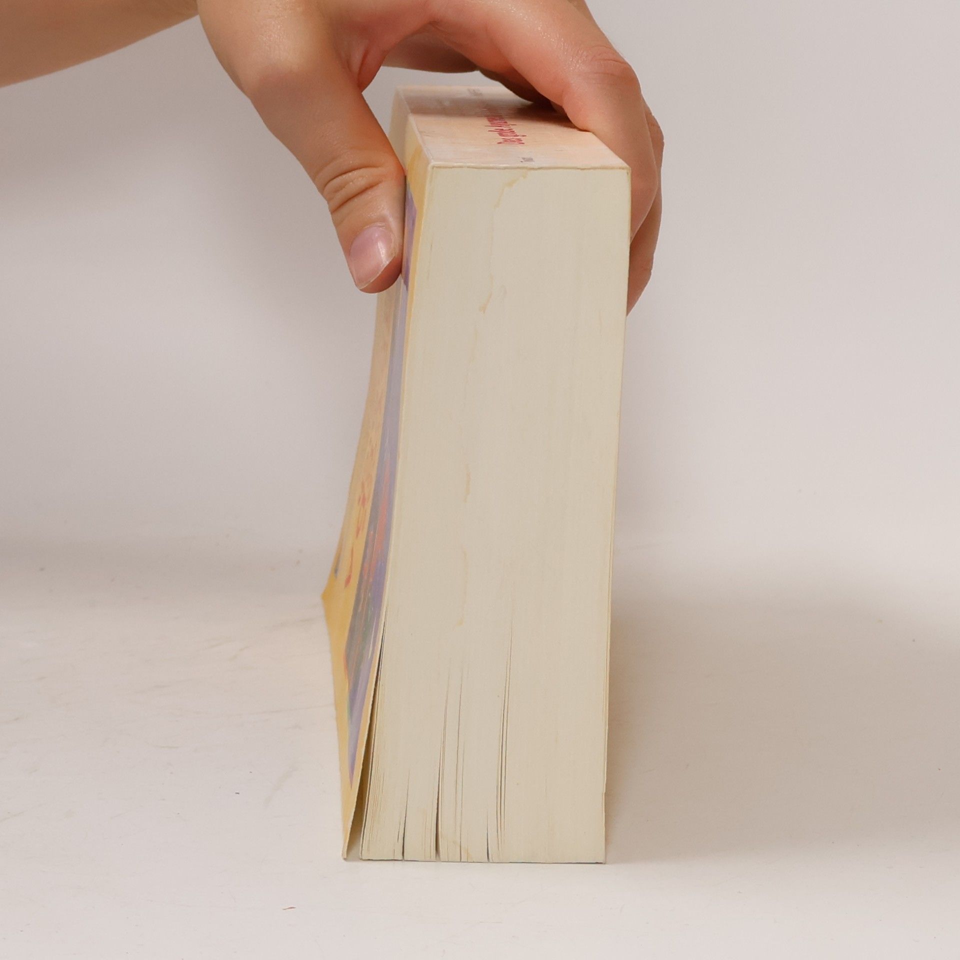 Maya Tiwari Das große Ayurveda Handbuch