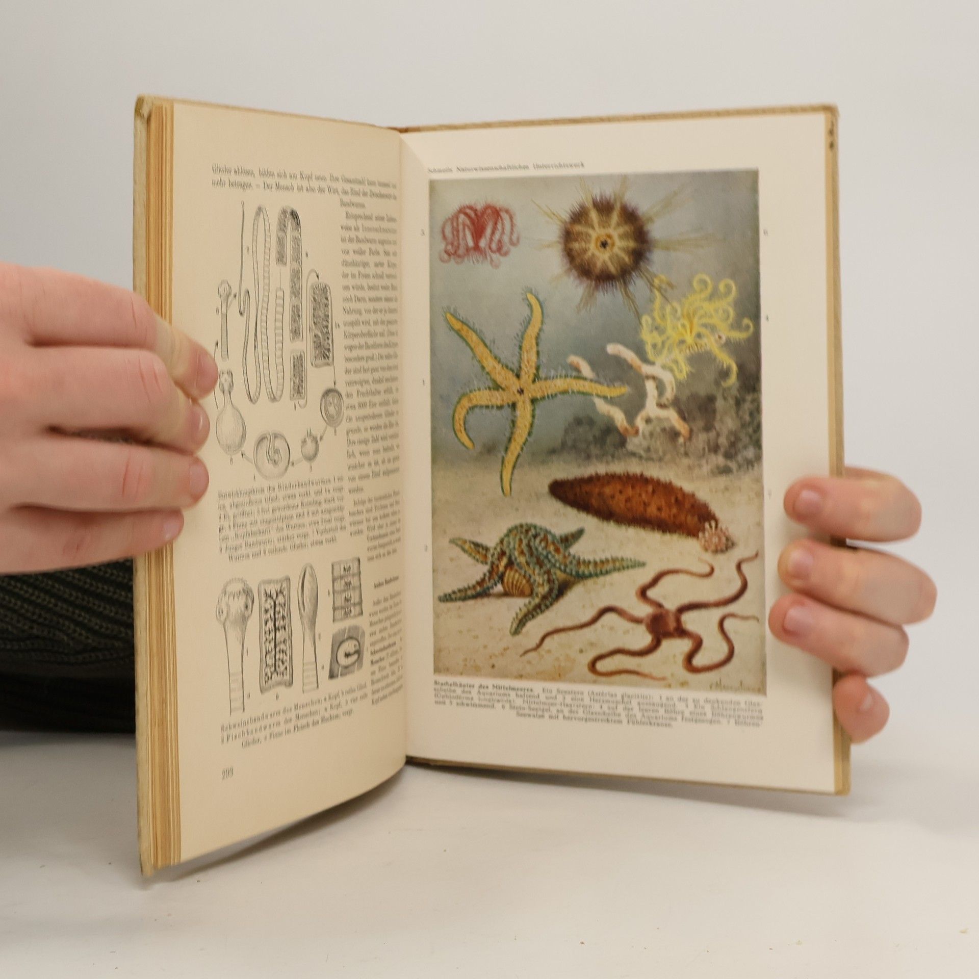 Otto Schmeil Tierkunde 2