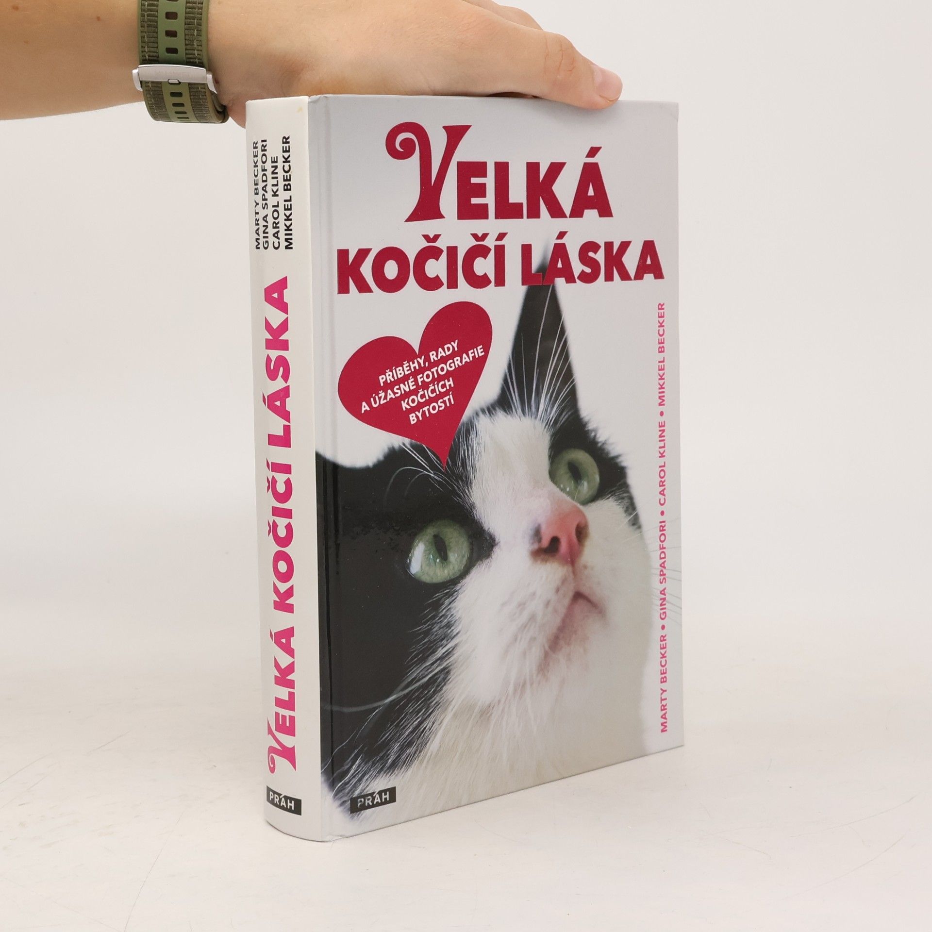 Velká kočičí láska