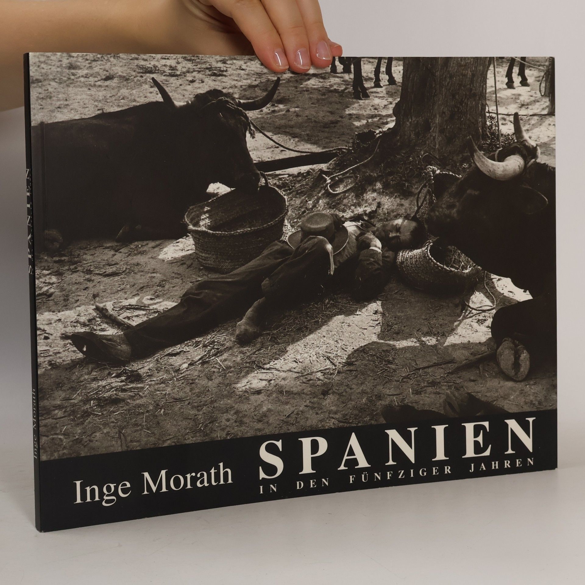 SPANIEN