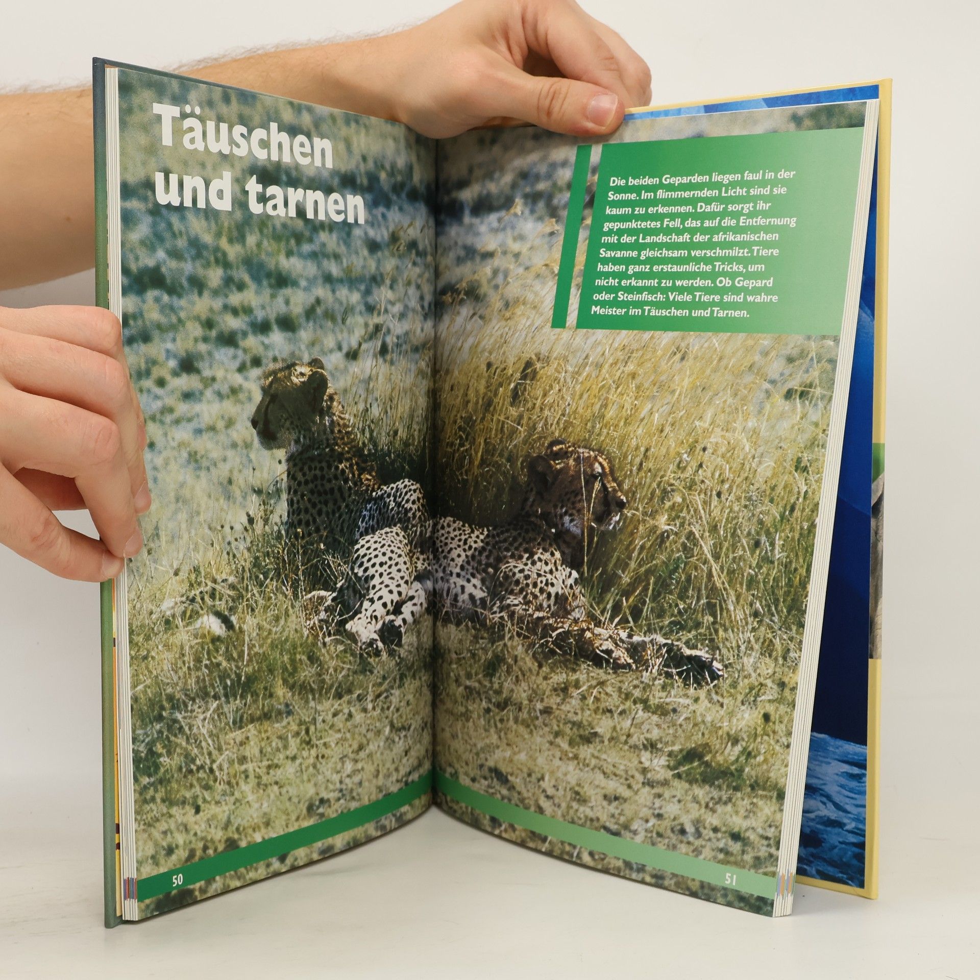 Michael Holtmann Die größten Geheimnisse im Reich der Tiere