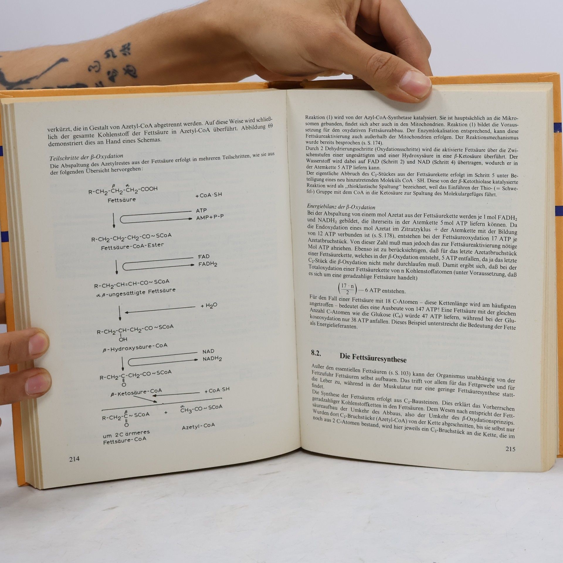 Winkler, L. Klinische Biochemie