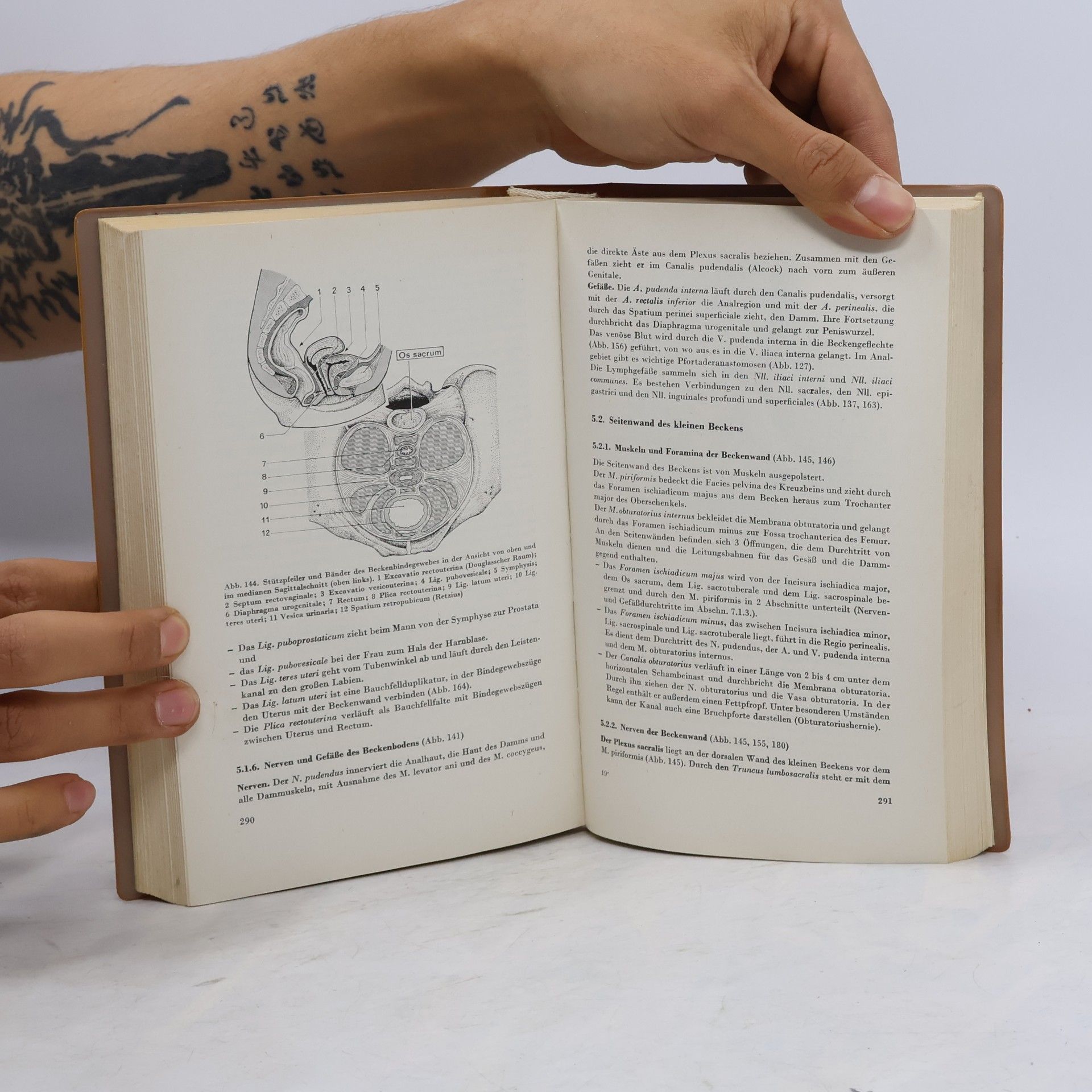 Gert-Horst Schumacher Topographische Anatomie des Menschen