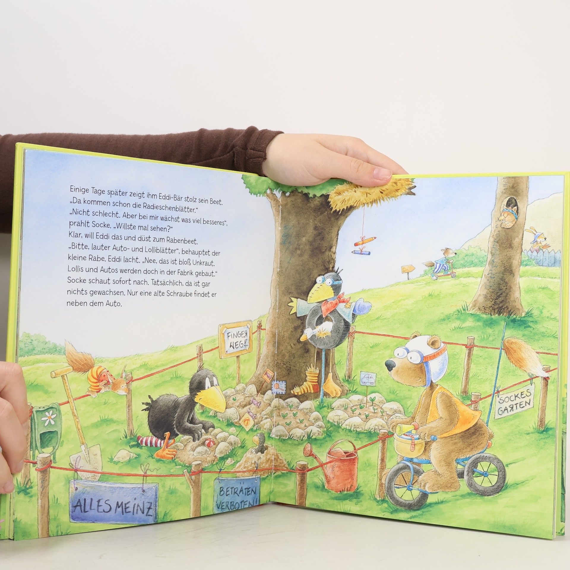 Nele Moost Der kleine Rabe Socke: Alles Frühling!