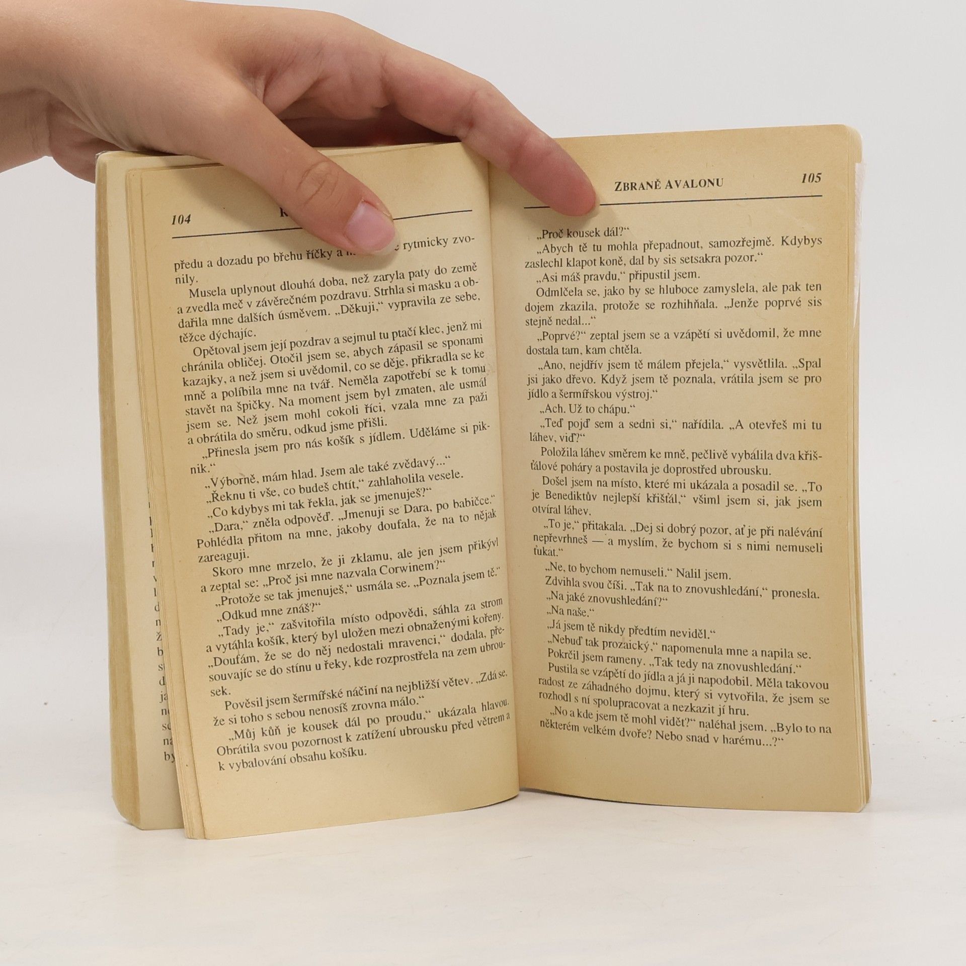 Roger Zelazny Tajemný Amber. Zbraně Avalonu