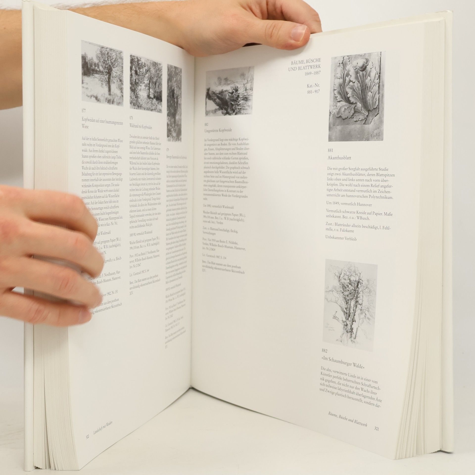 Ruth Brunngraber-Malottke Wilhelm Busch, Handzeichnungen nach der Natur