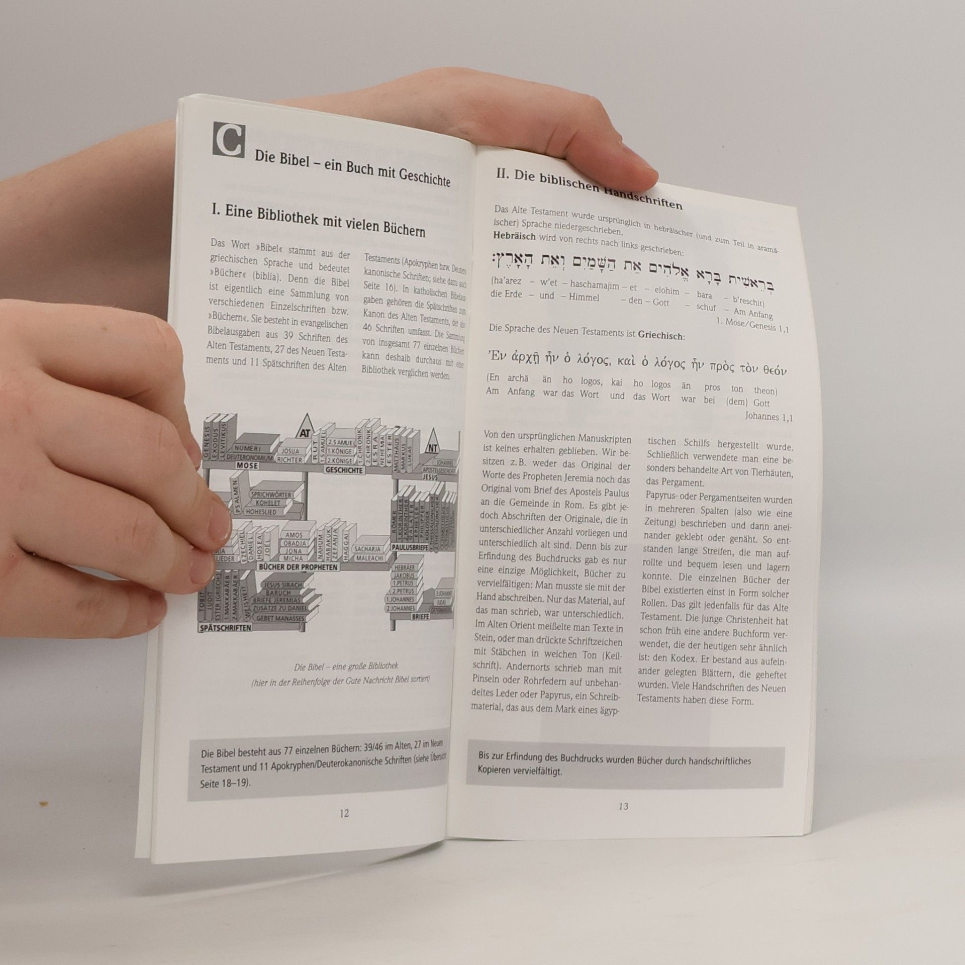 Wissenswertes zur Bibel - 2: Basiswissen Bibel