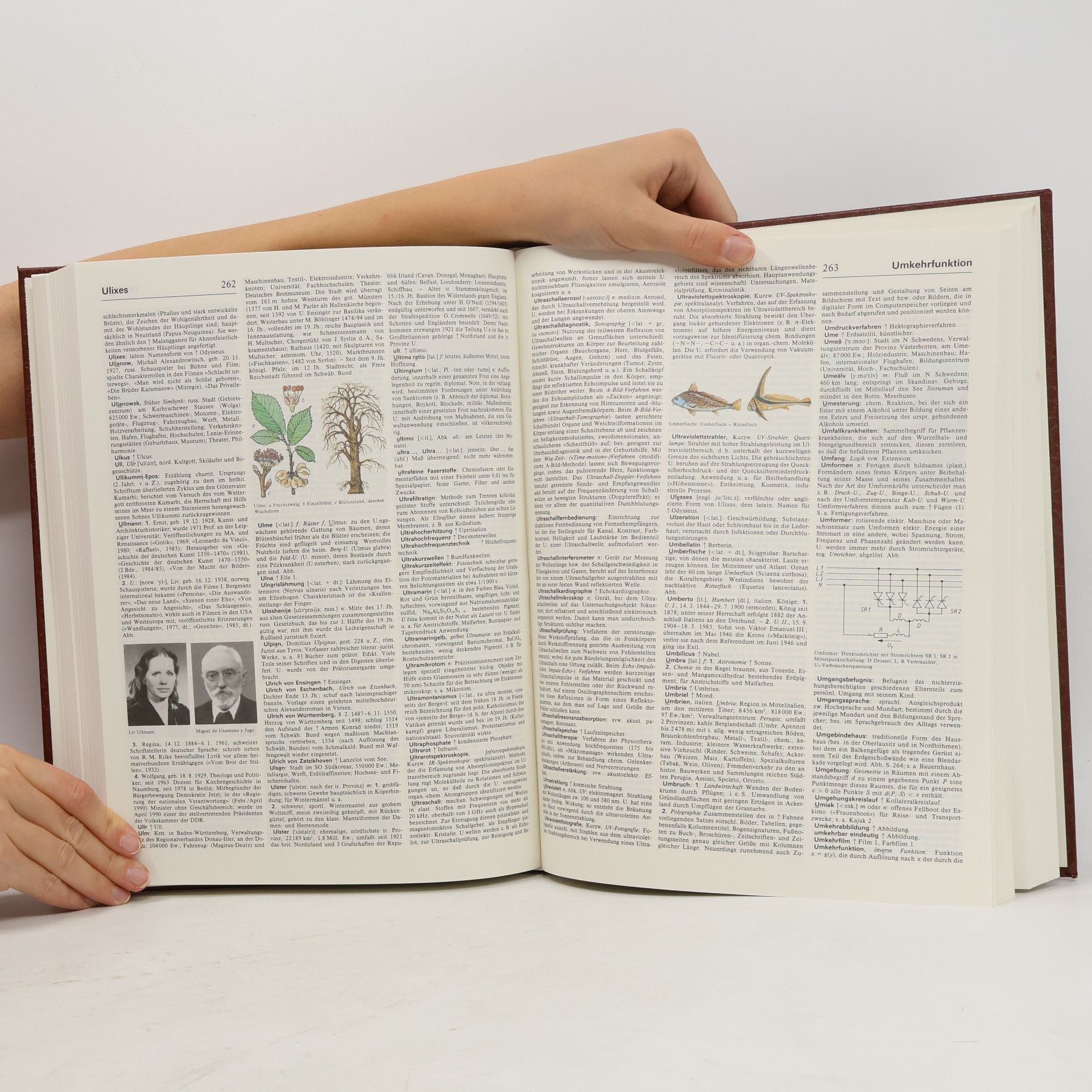 Autores varios BI-Universallexikon 5