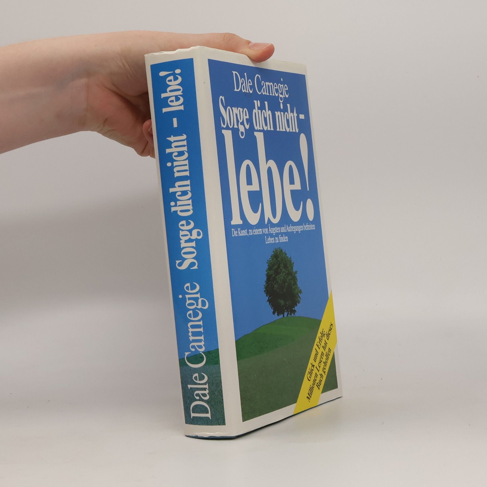 Dale Carnegie Sorge dich nicht - lebe!
