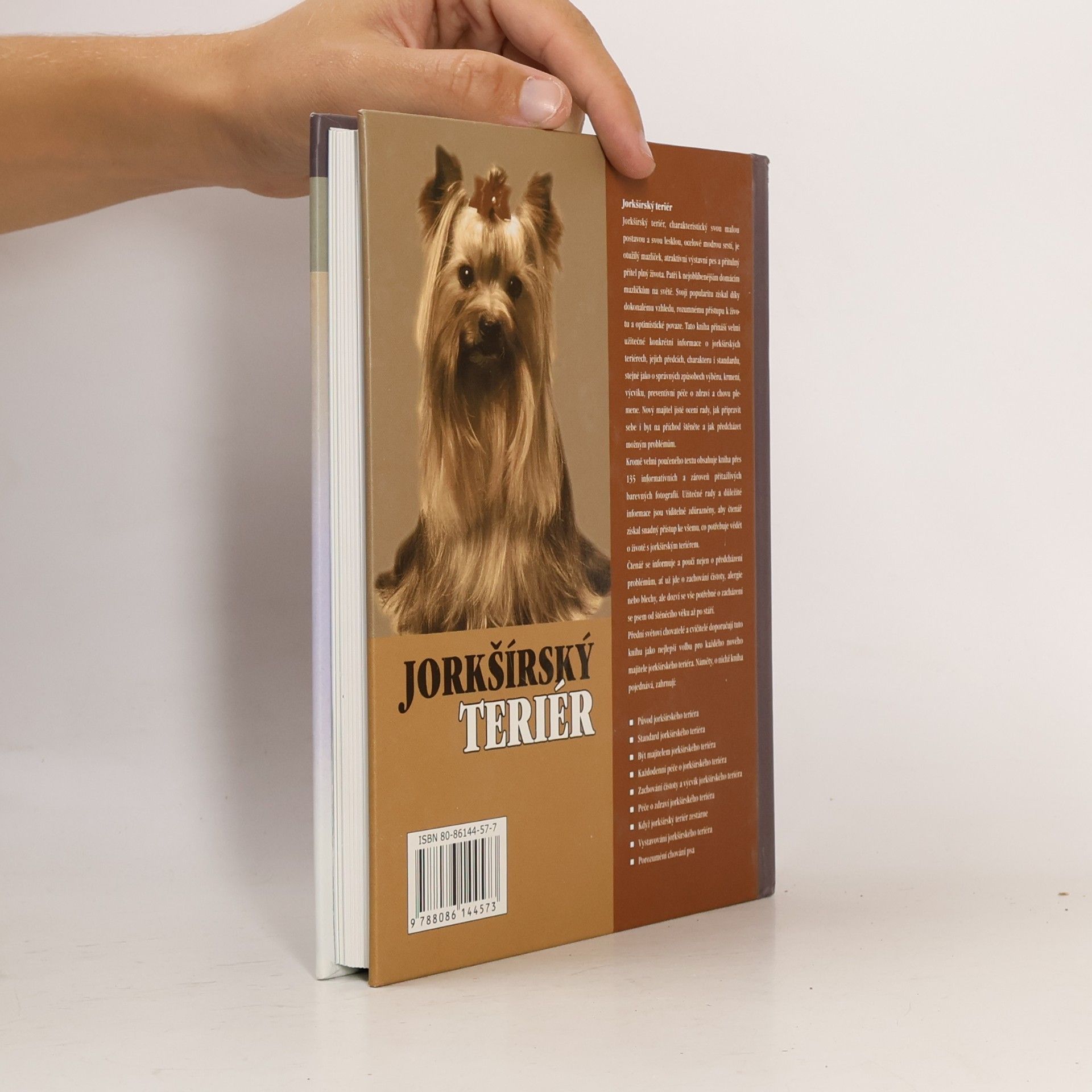 Rachel Keyes Jorkšírský teriér