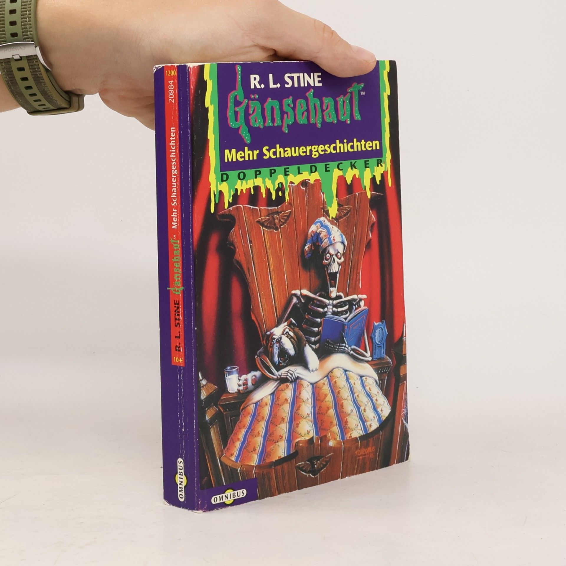 R. L. Stine Mehr Schauergeschichten Doppeldecker 2. Gänsehaut