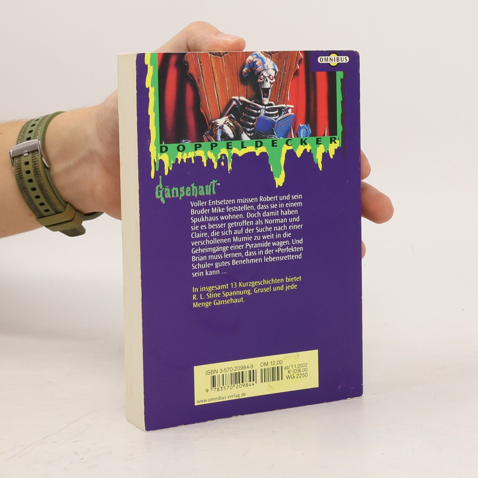 R. L. Stine Mehr Schauergeschichten Doppeldecker 2. Gänsehaut
