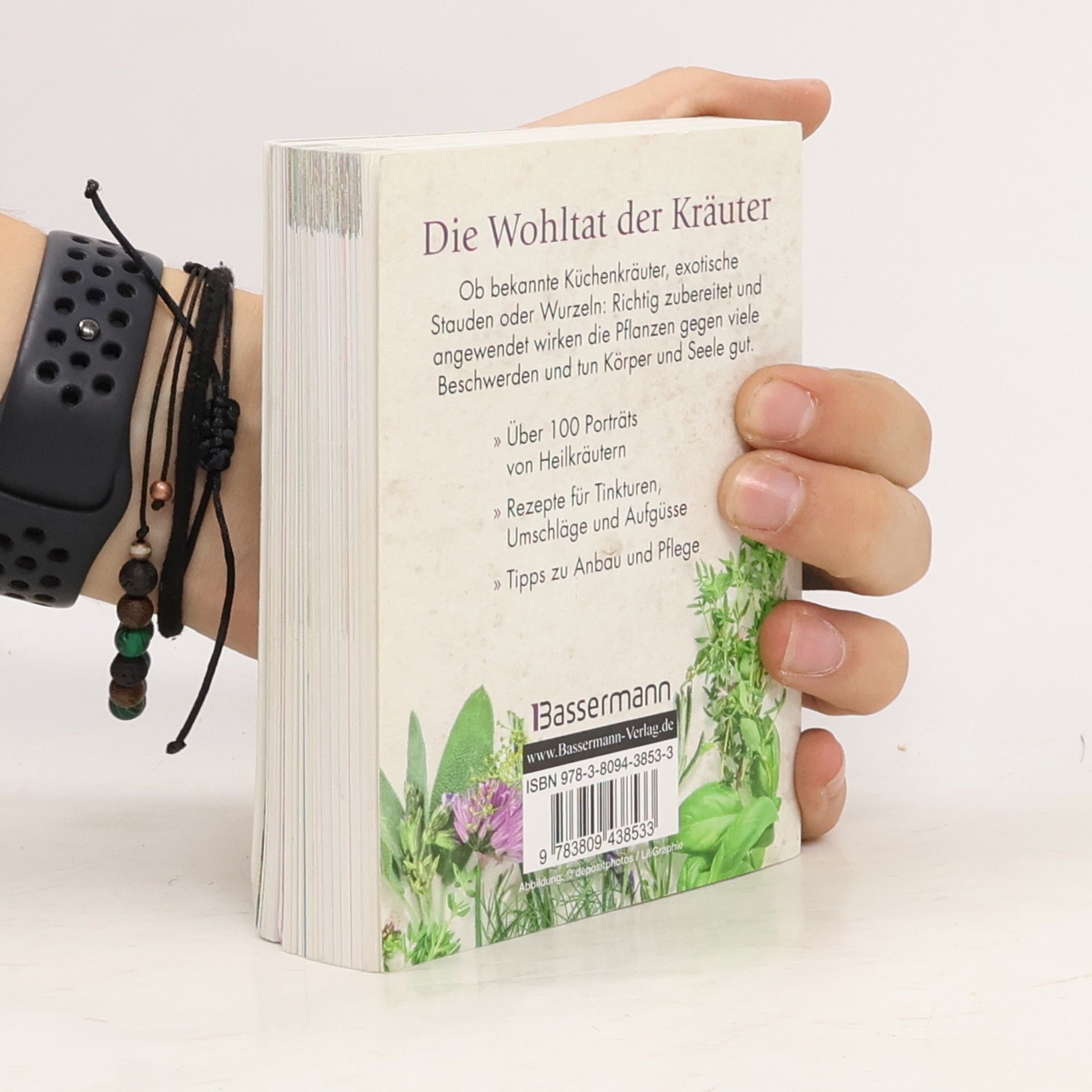 Lesley Bremness Handbuch Kräuter