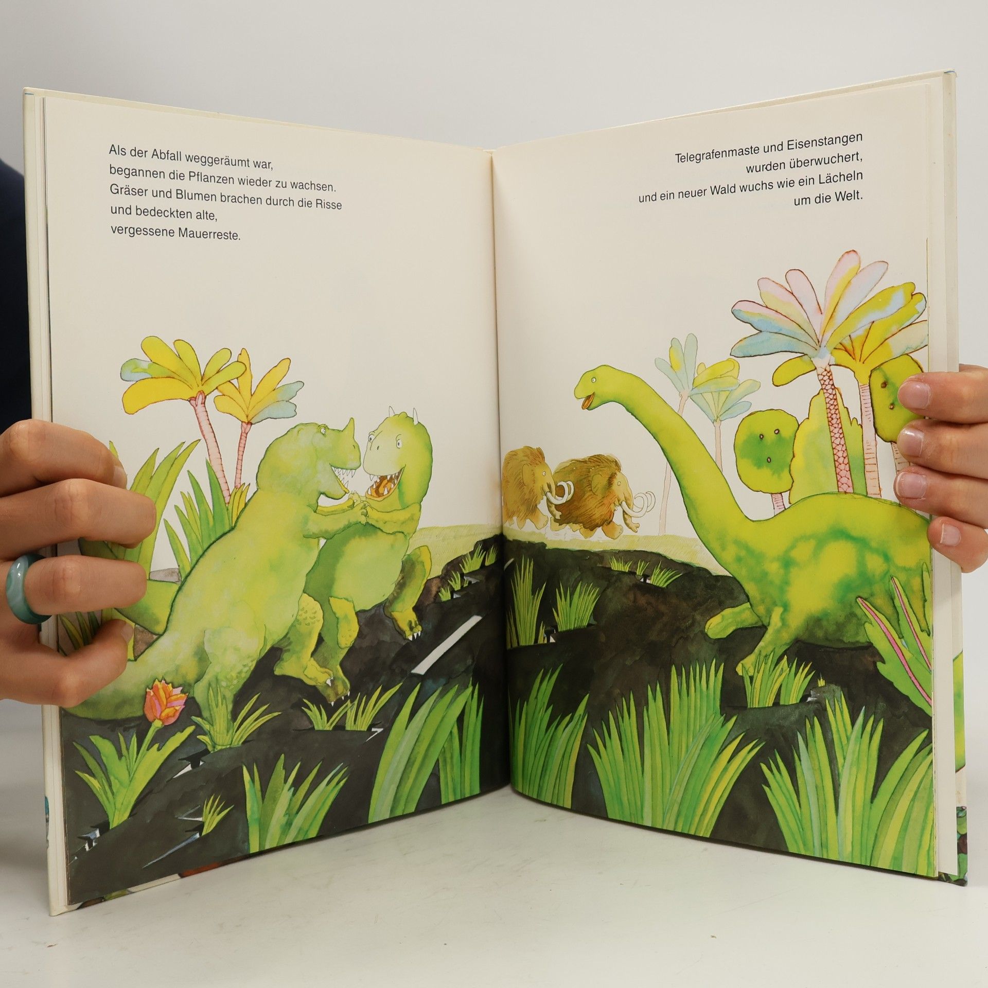 Michael Foreman Die Rückkehr der Dinosaurier