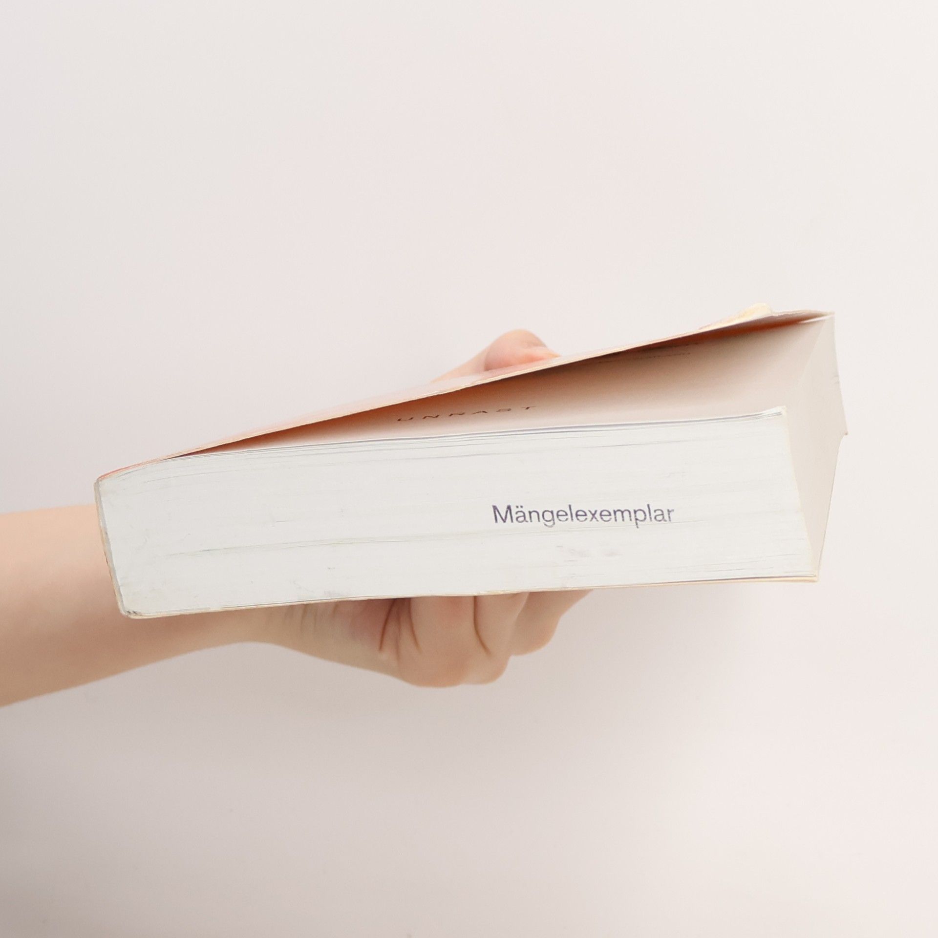 Maureen Maisha Eggers Mythen, Masken und Subjekte