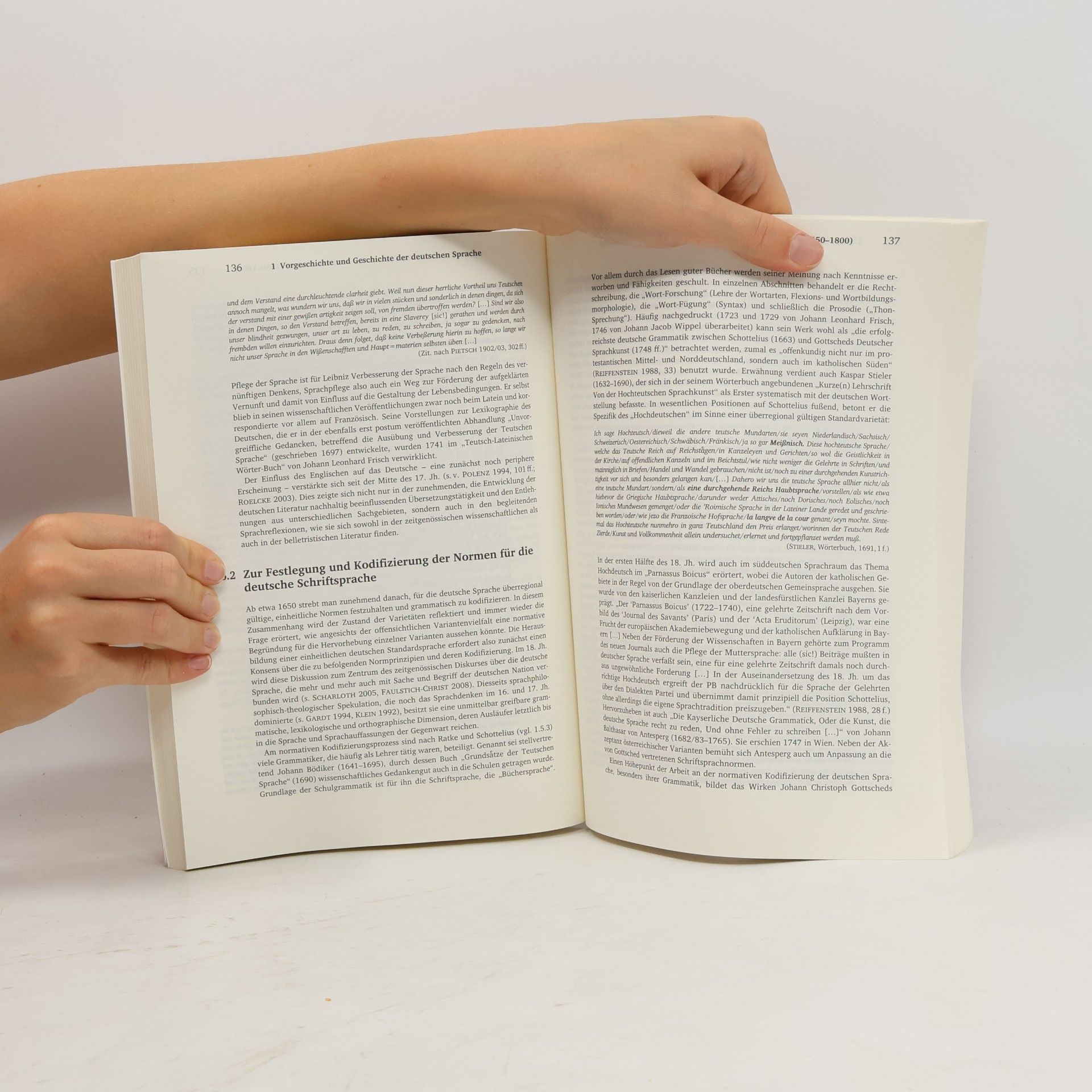 Wilhelm Schmidt-Thomé Geschichte der deutschen Sprache Teil 1: Einführung, Vorgeschichte und Geschichte