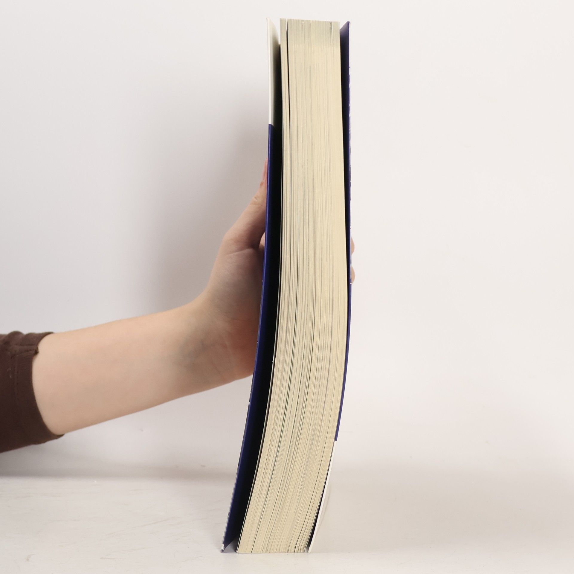 Various authors P.A.U.L.D. Oberstufe. Schülerband: Persönliches Arbeits- und Lesebuch