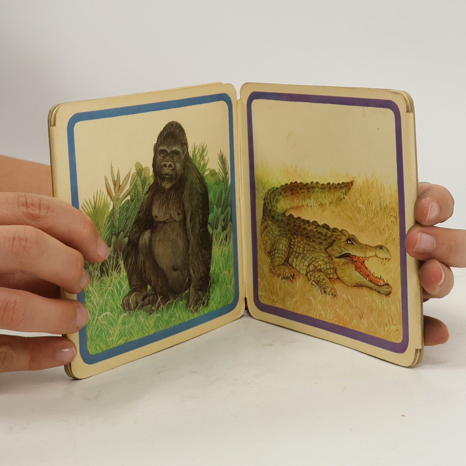 Amrei Fechner Große Tiere