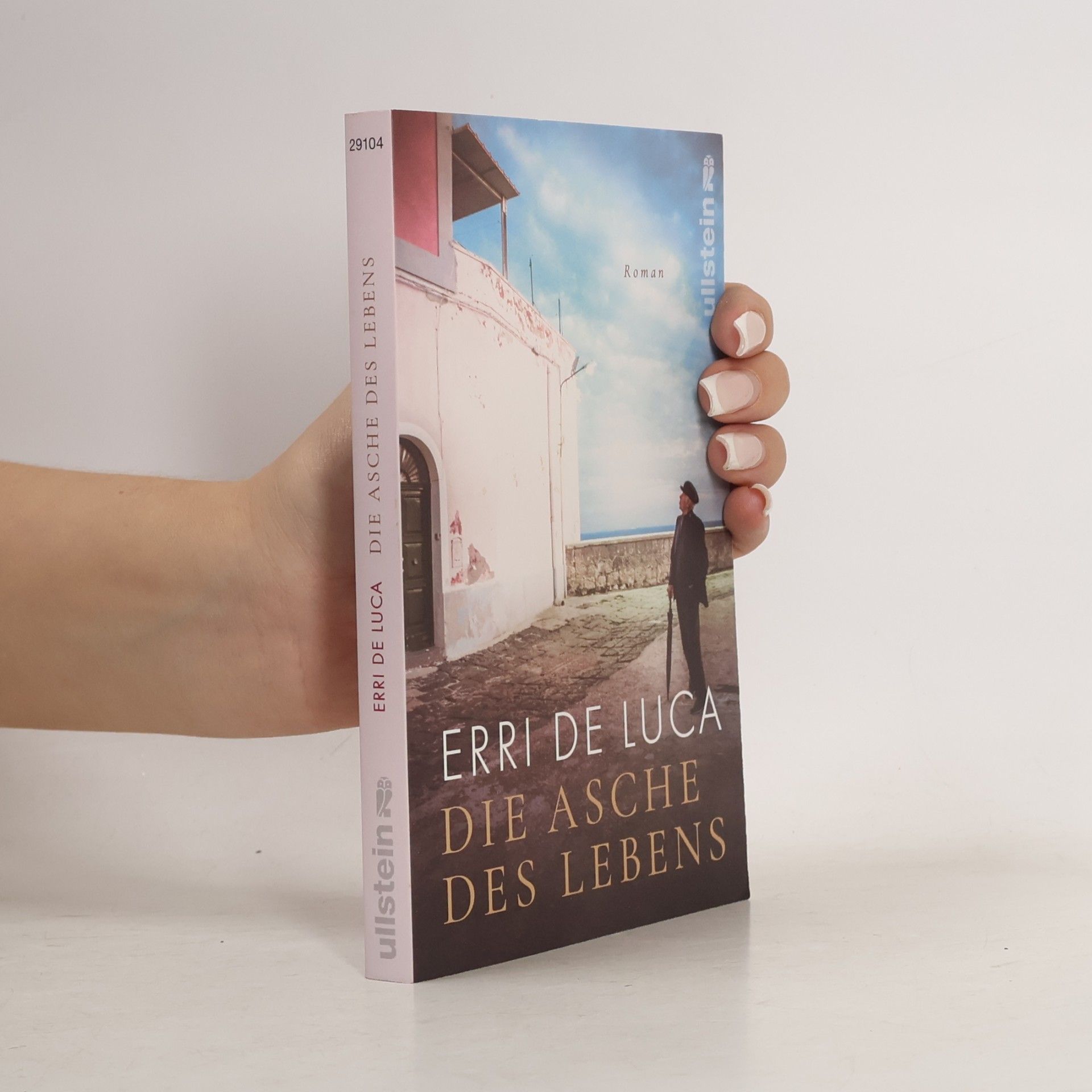 Erri De Luca Die Asche des Lebens