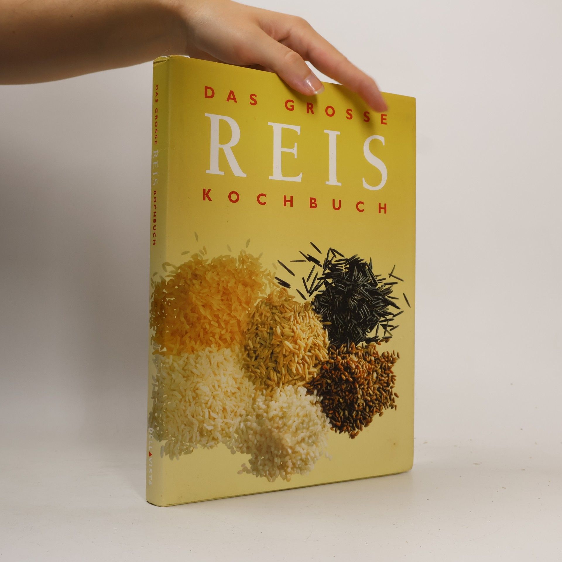 Daniel Hoch Das grosse Reis-Kochbuch