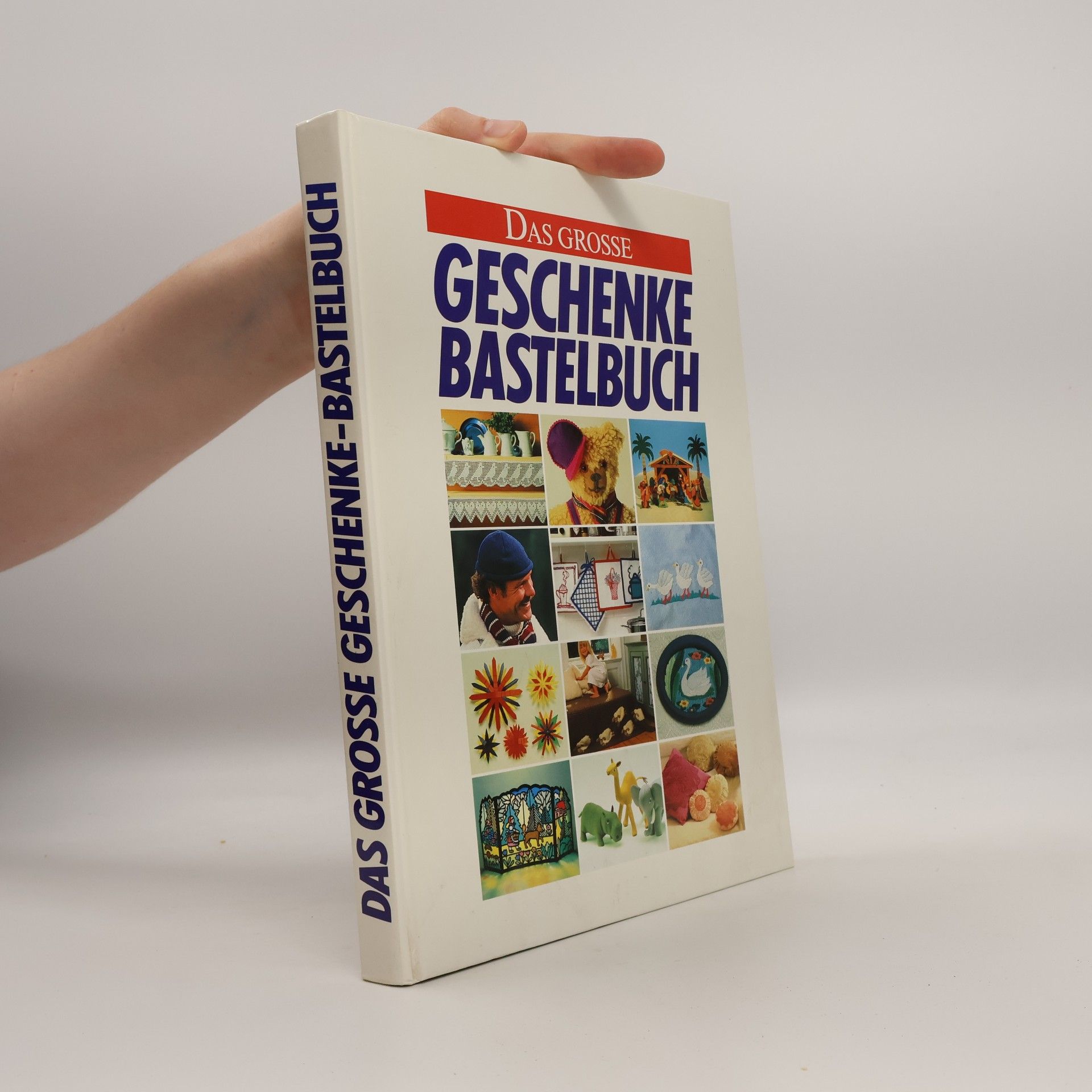 Das grosse Geschenke-Bastelbuch