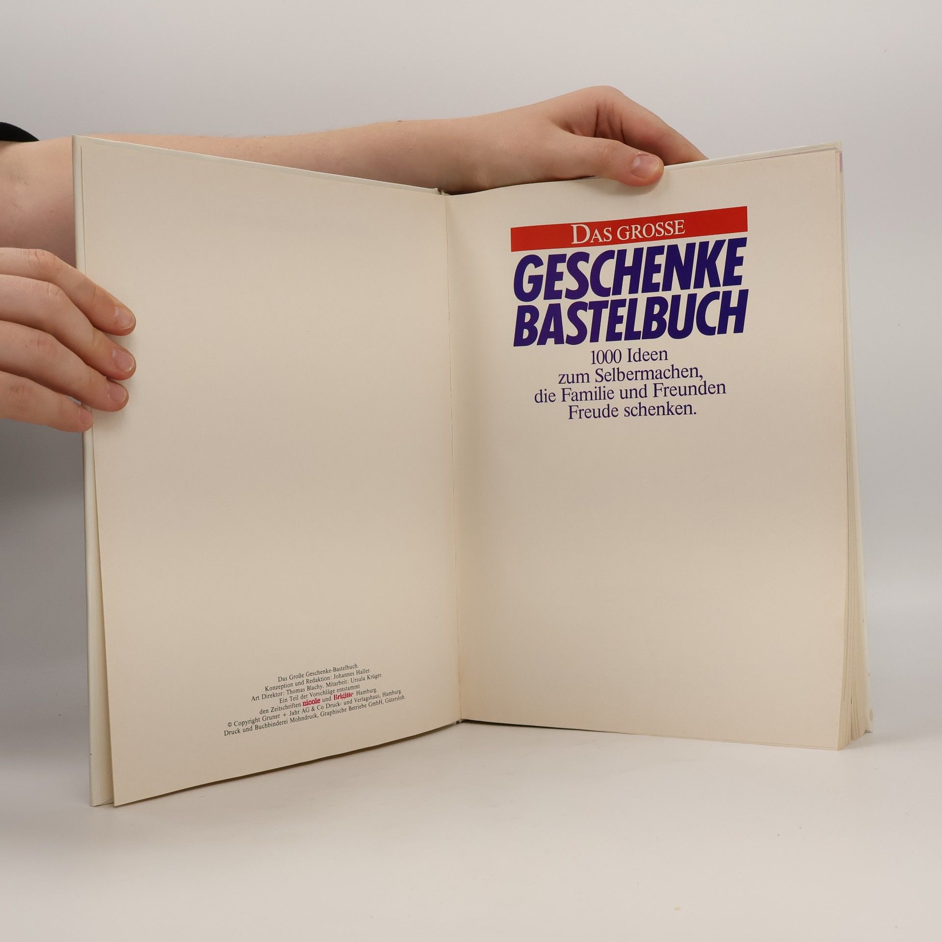 Johannes Haller Das grosse Geschenke-Bastelbuch