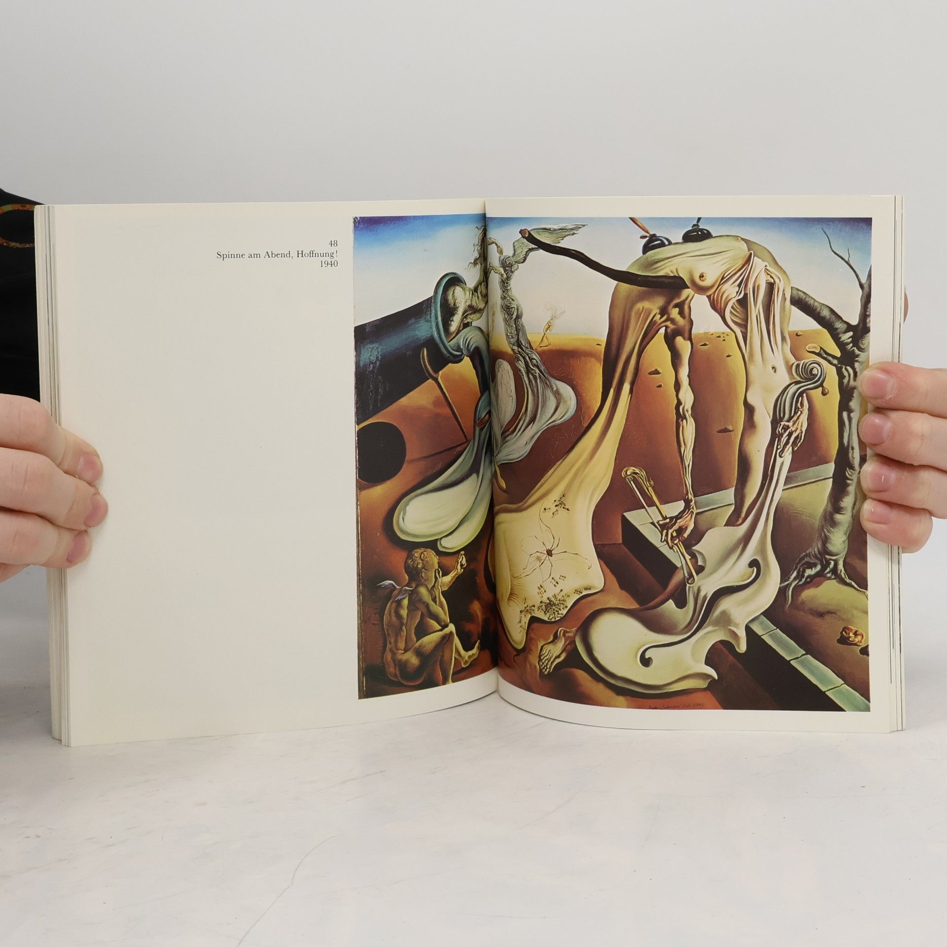 kolektiv Die Meister der Kunst. Dali