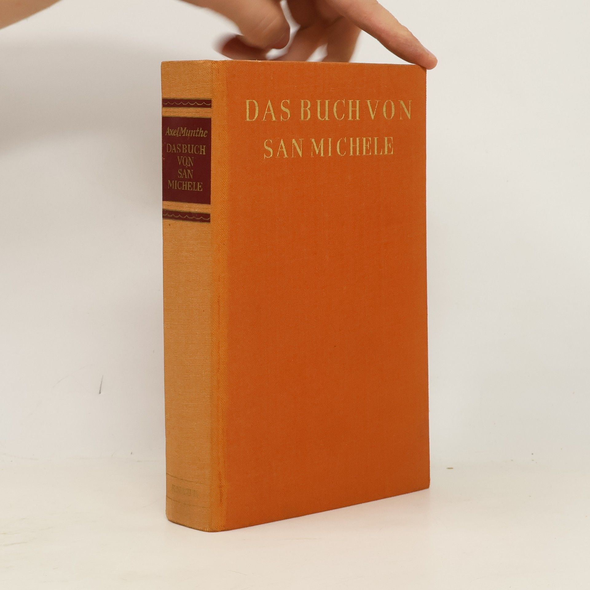 DAS BUCH VON SAN MICHELE